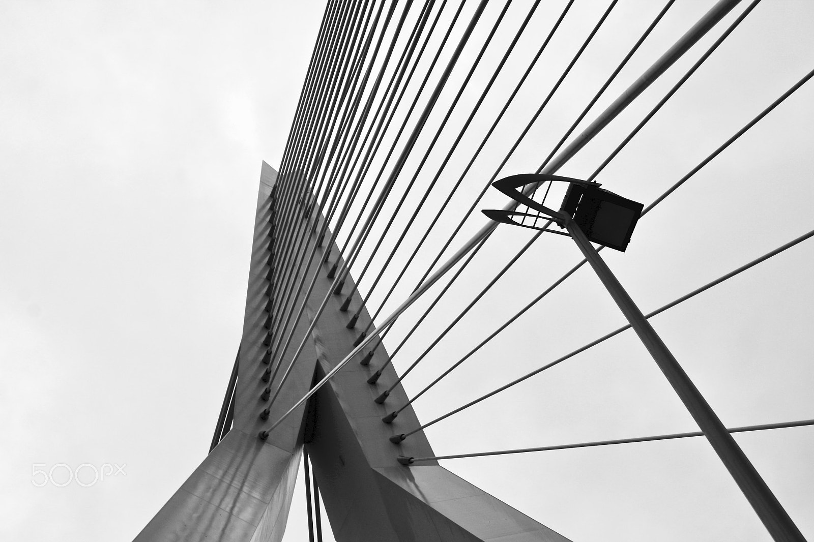 Canon EF 35-80mm f/4-5.6 sample photo. Mono photography