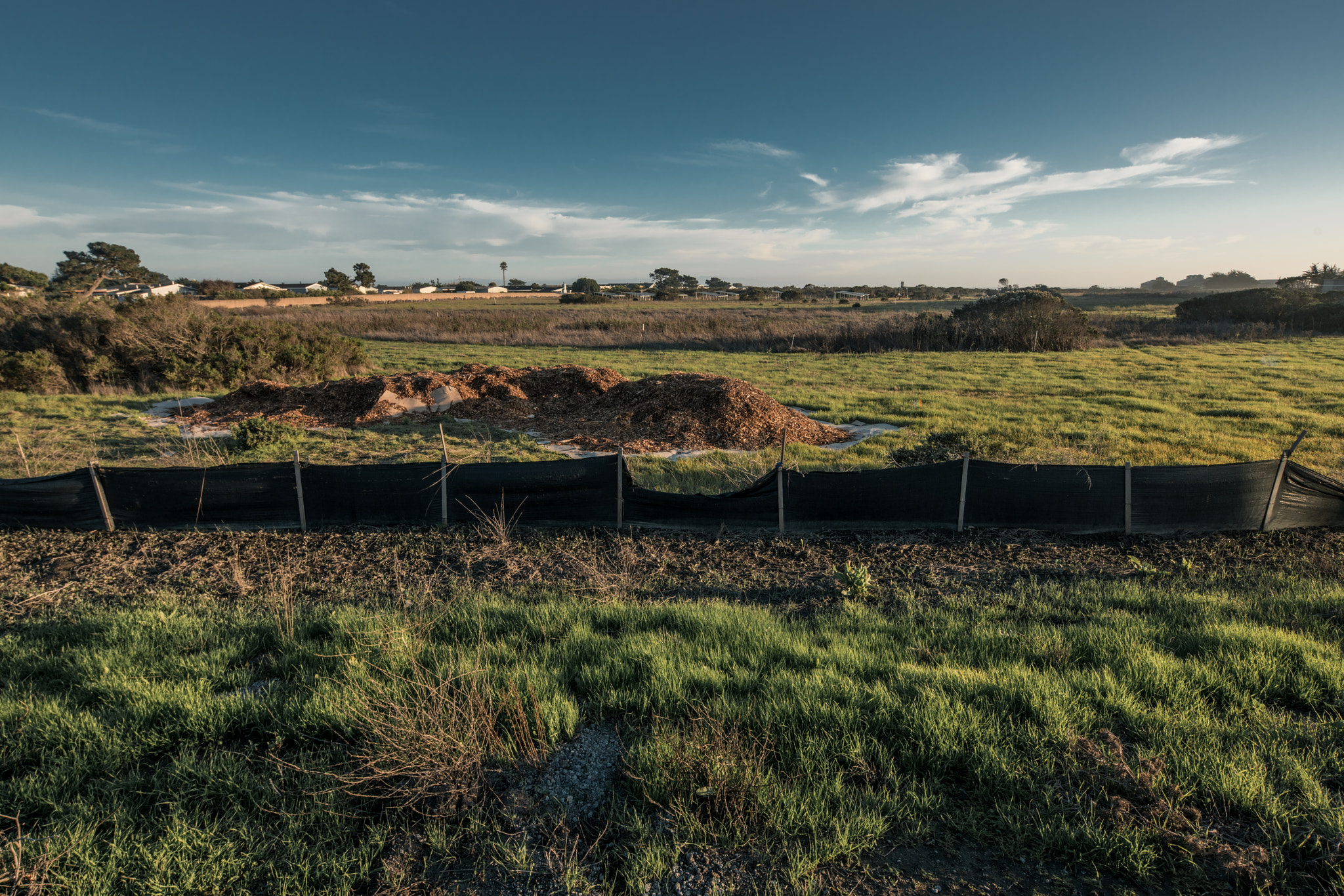 17mm F4 G sample photo. Pacific coast photography