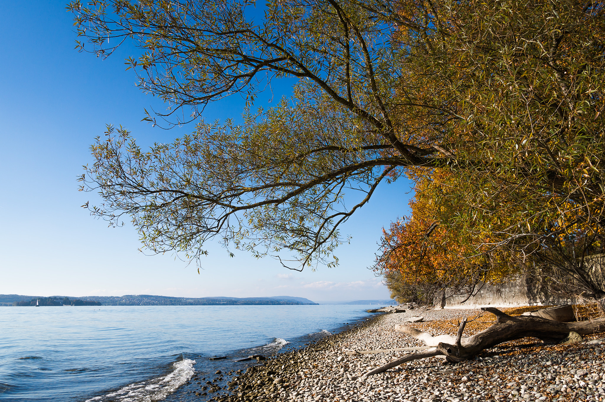 Sony Alpha NEX-6 + Sigma 19mm F2.8 EX DN sample photo. Herbst am see i photography