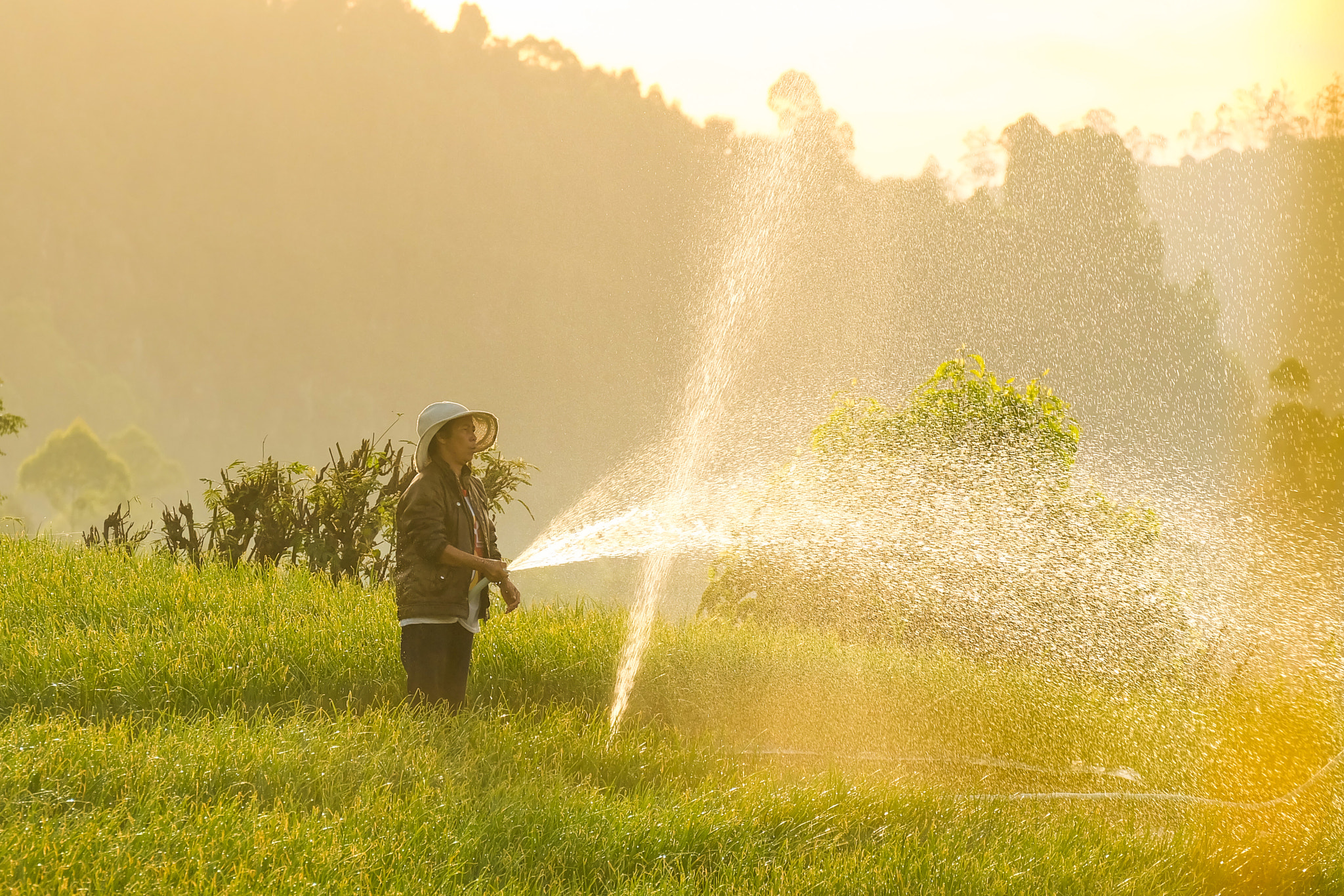 Fujifilm X-A2 + Fujifilm XC 50-230mm F4.5-6.7 OIS sample photo. Shallot farmer photography