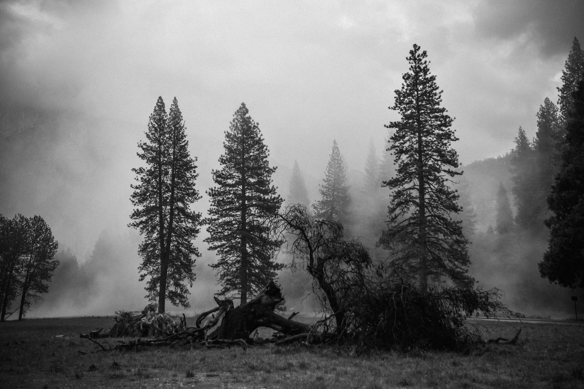 Nikon D3300 + Nikon AF-S DX Nikkor 16-85mm F3.5-5.6G ED VR sample photo. Yosemite valley in the fog photography