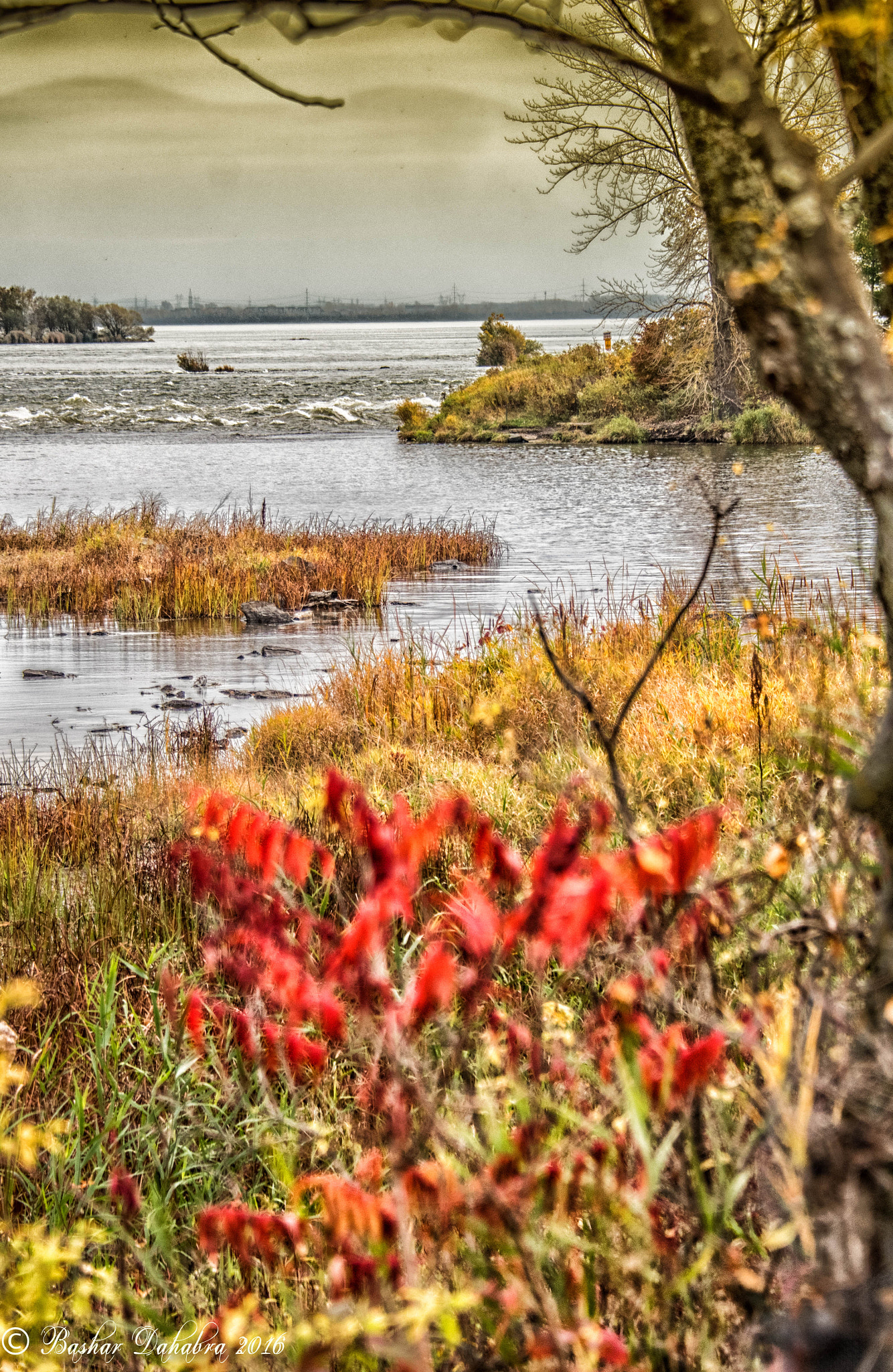 Nikon D500 sample photo. Autumn morning photography