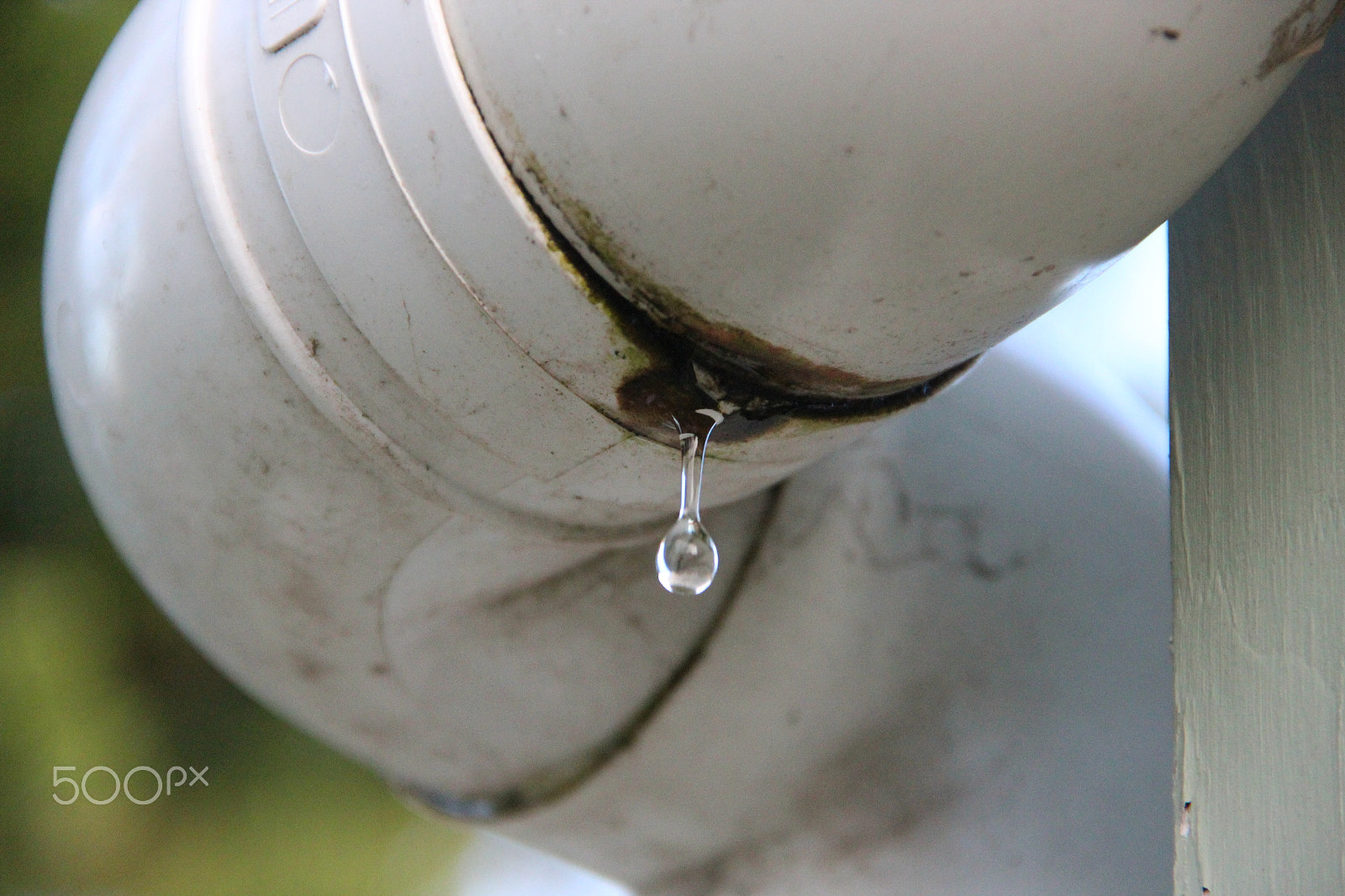 Canon EOS 600D (Rebel EOS T3i / EOS Kiss X5) sample photo. Drip by drip photography