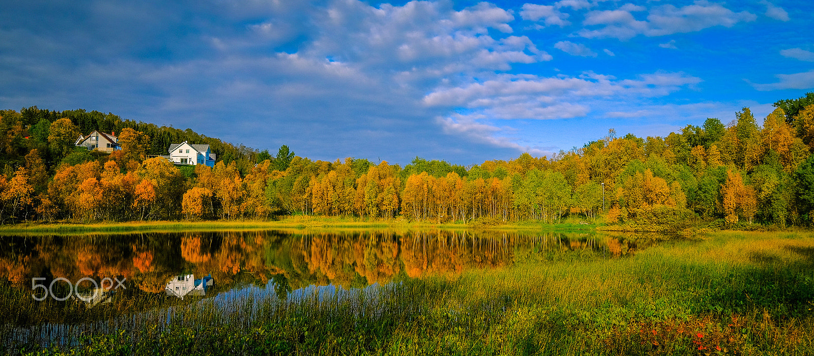 Fujifilm X-T10 + Fujifilm XF 10-24mm F4 R OIS sample photo. Autumn colours photography