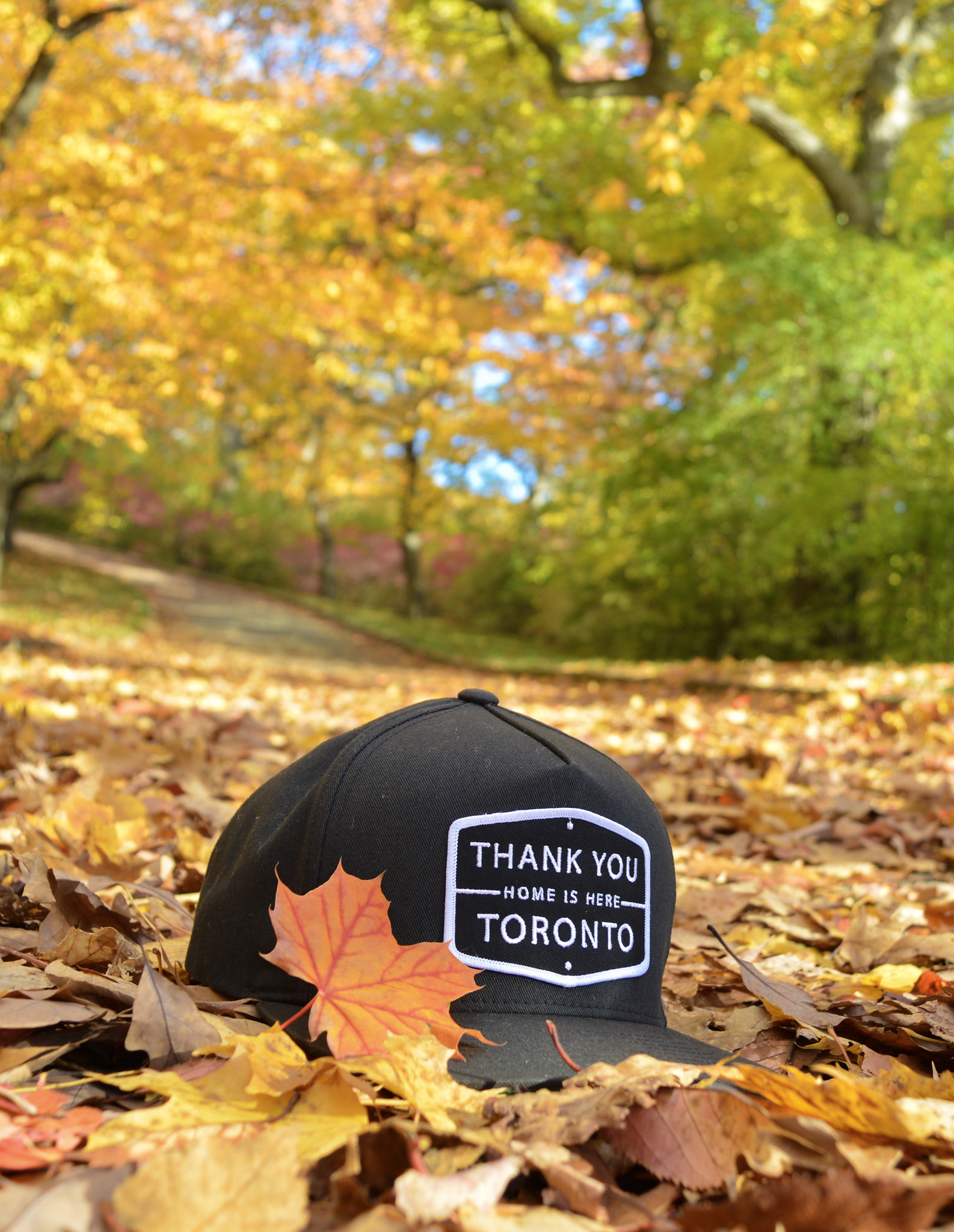 Nikon D3200 sample photo. Home is here. #thankyoutoronto photography