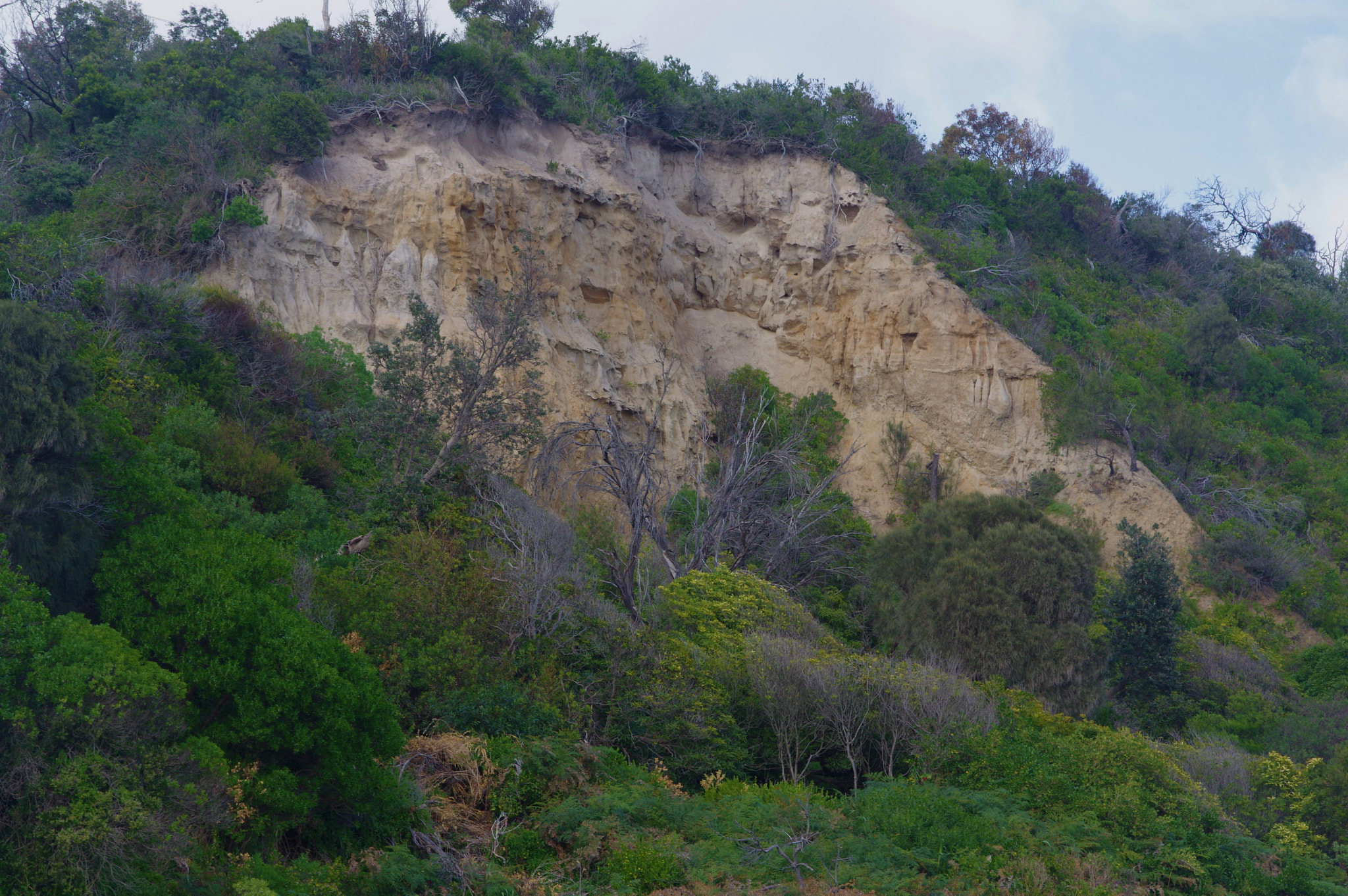 Pentax K-3 + Sigma 17-70mm F2.8-4.5 DC Macro sample photo. Mcrae land scape photography