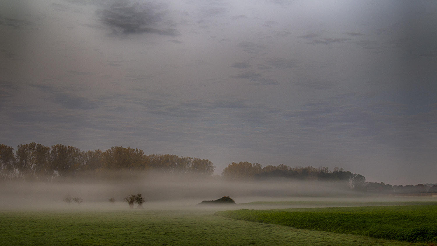 Canon EOS-1D Mark IV sample photo. Dreams of fog photography