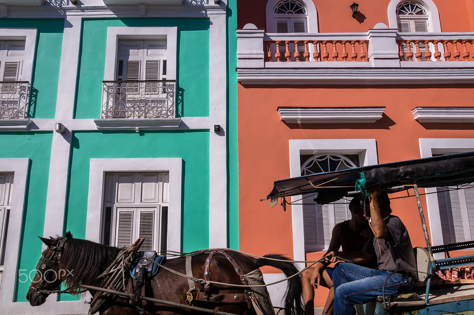 Sony SLT-A37 sample photo. Horse pulling carriage in front of colorful colonial facade photography