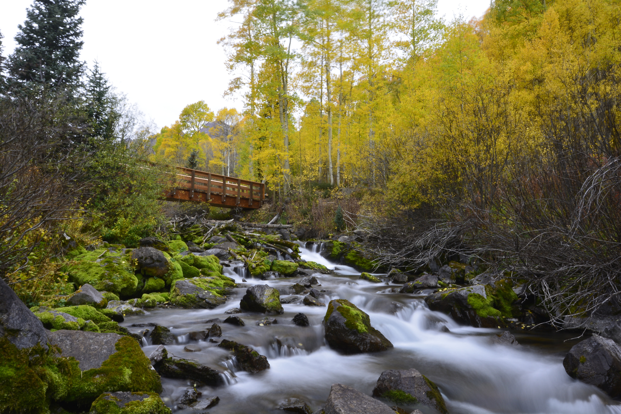 Nikon AF-S Nikkor 16-35mm F4G ED VR sample photo. Maroon bells. photography