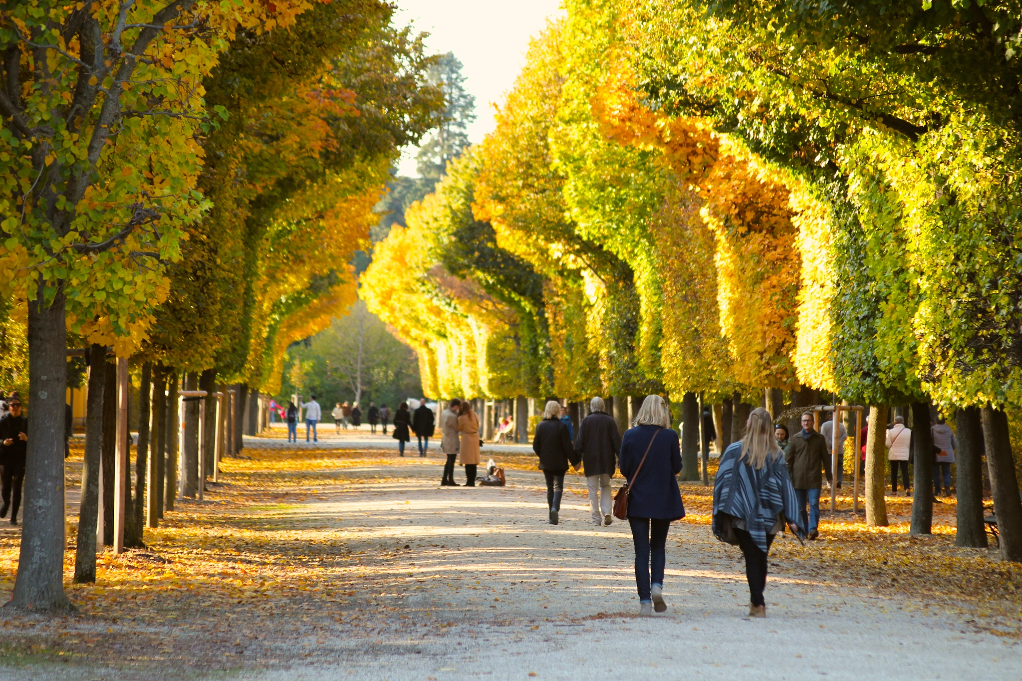 Sigma 55-200mm f/4-5.6 DC sample photo. Garden of schönbrunn photography