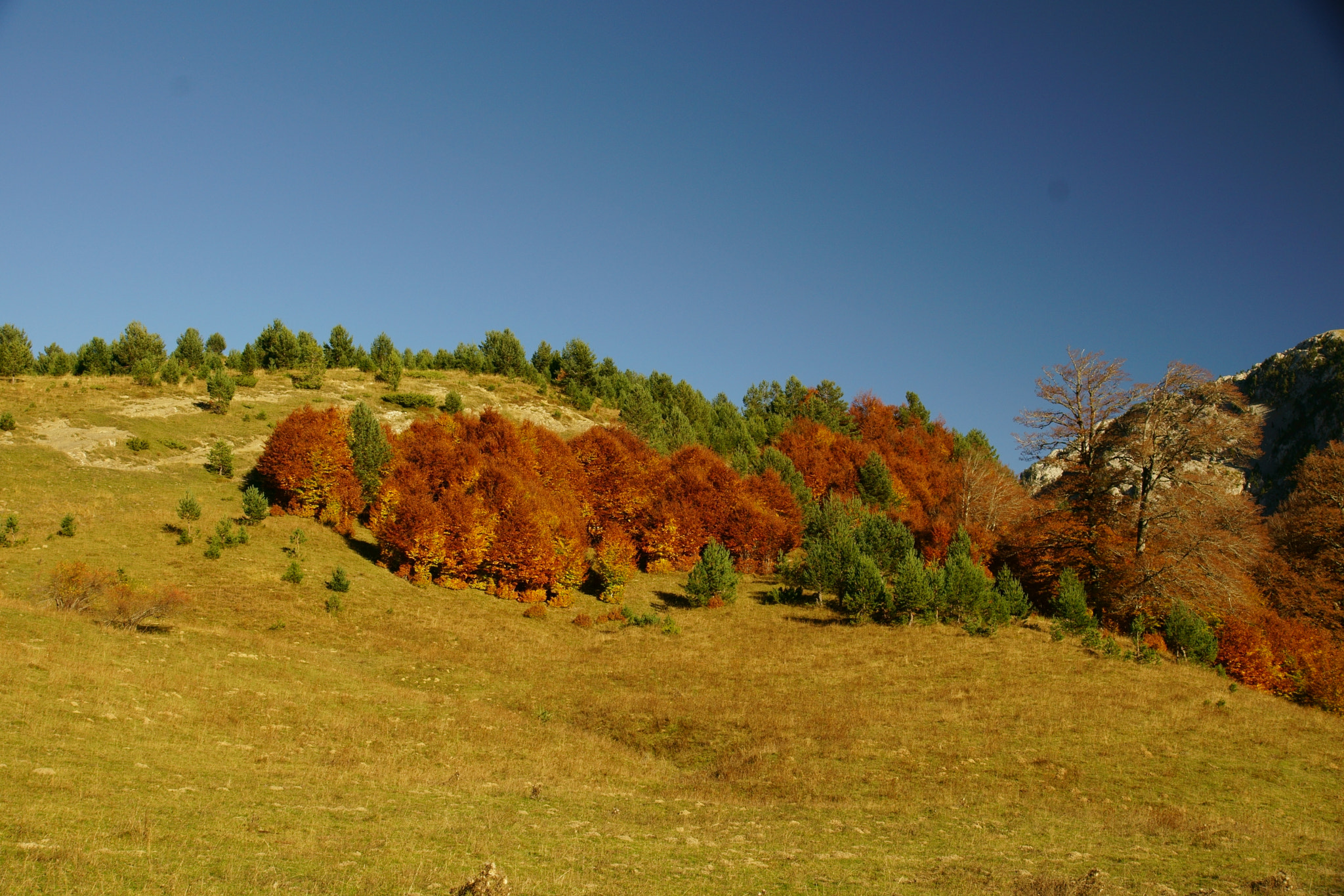Sony DT 16-105mm F3.5-5.6 sample photo. Val d'ansó photography