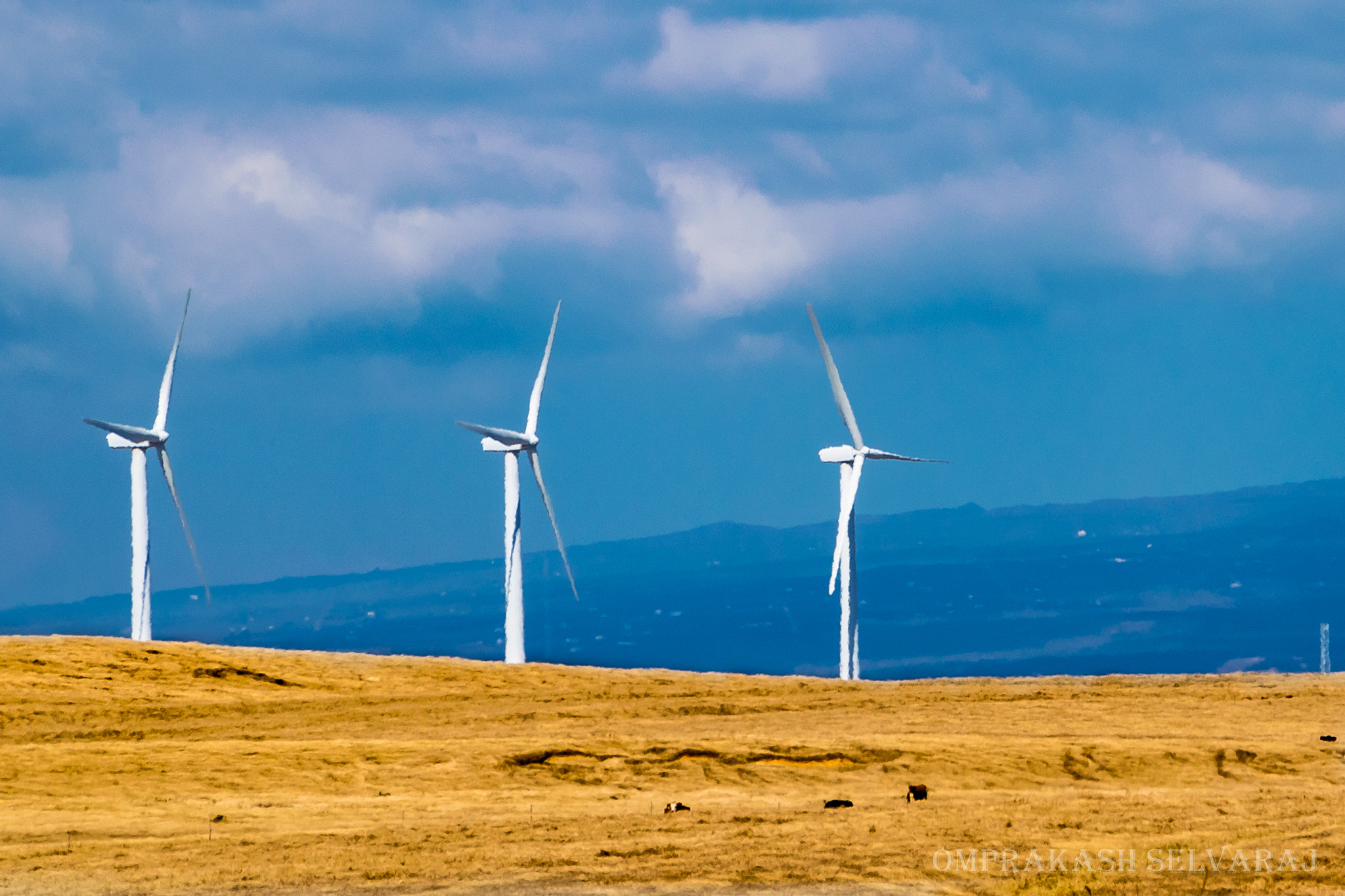 Sigma 18-250mm F3.5-6.3 DC Macro OS HSM sample photo. The three windmills photography