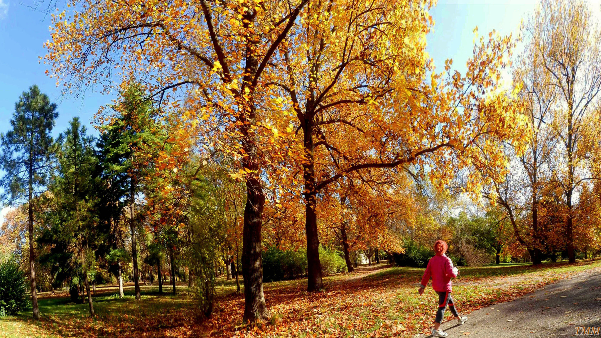 Olympus SH-21 sample photo. Тhe footsteps of autumn photography