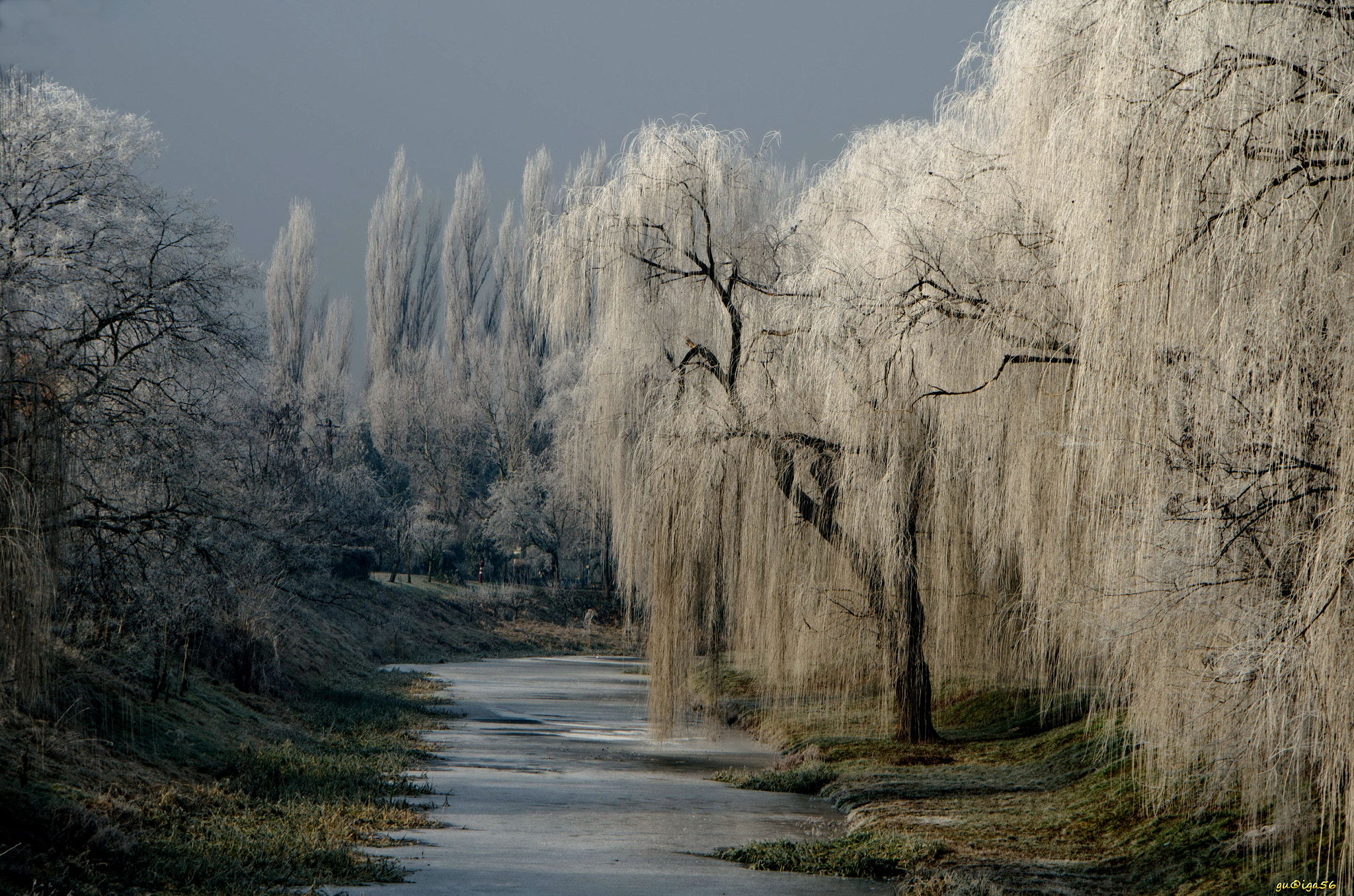 Nikon D5100 + Sigma 18-250mm F3.5-6.3 DC OS HSM sample photo. A tél menyasszonyai / the bride of winter photography