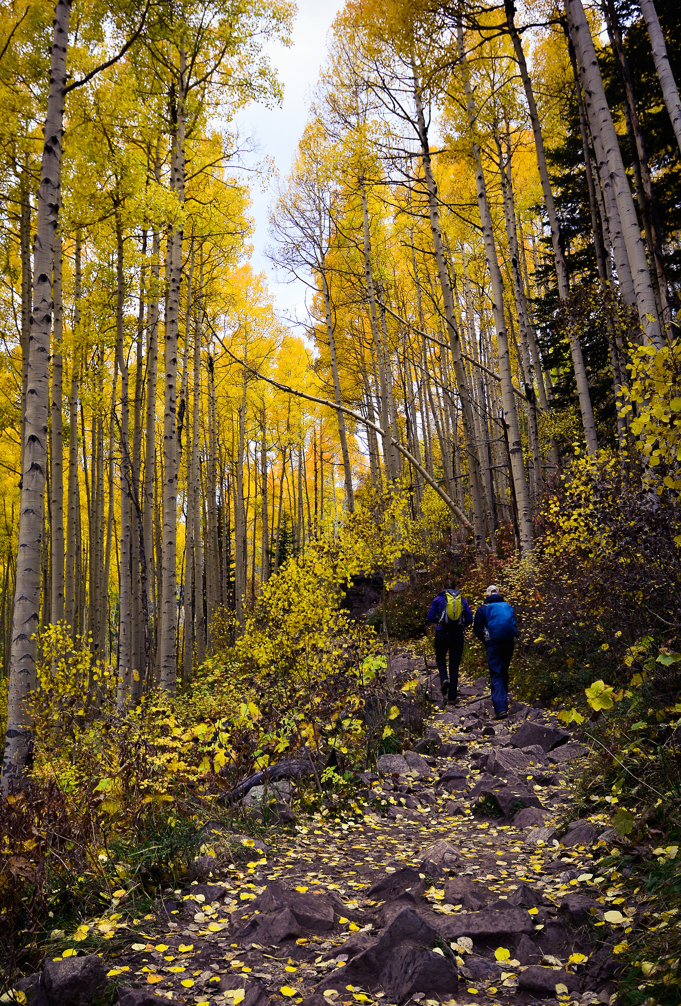 Nikon AF-S Nikkor 16-35mm F4G ED VR sample photo. Hiking in the fall. photography