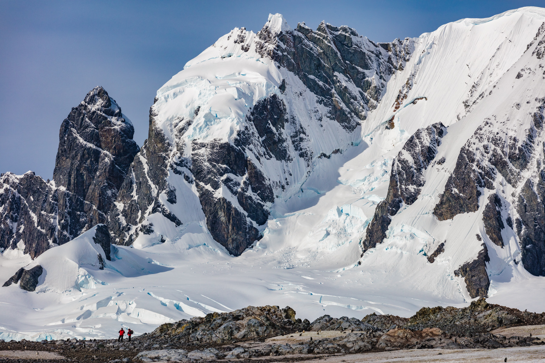 Canon EOS 5DS + Canon EF 70-200mm F4L USM sample photo. Antarctica photography