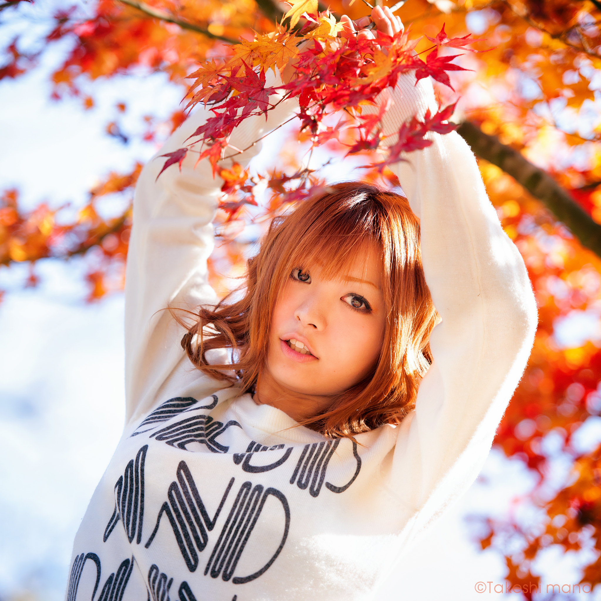 Nikon D3 sample photo. Autumn leaves photography