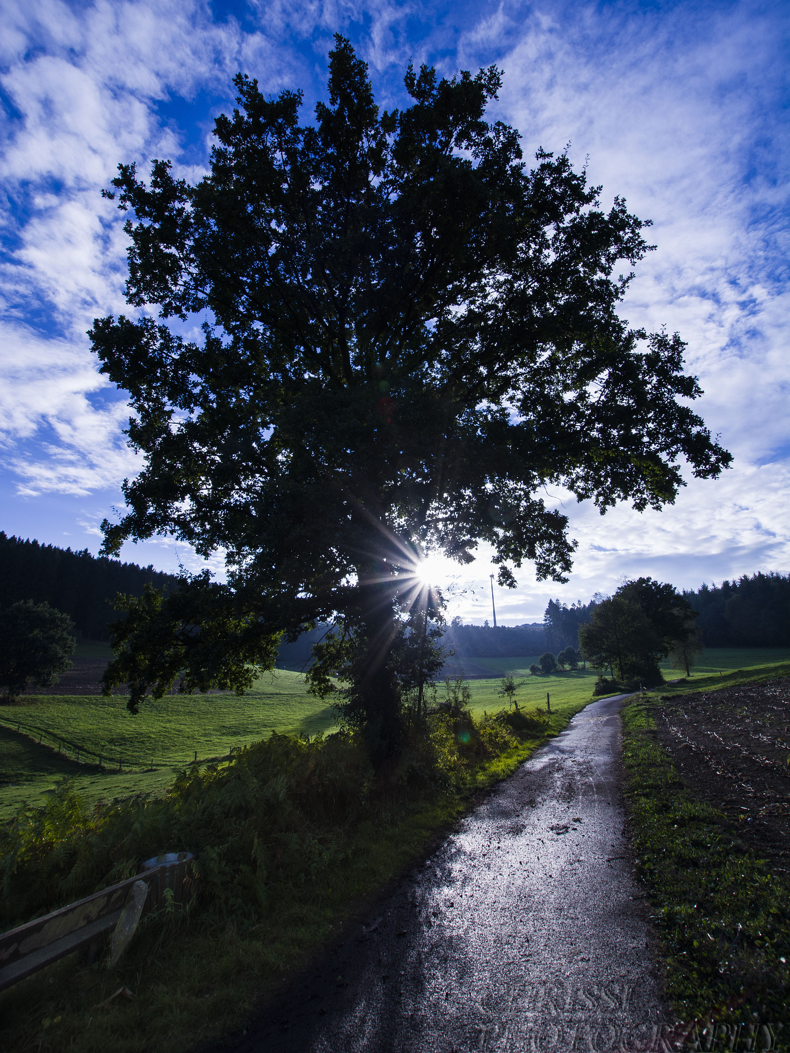 Nikon D5200 + Sigma 10-20mm F3.5 EX DC HSM sample photo