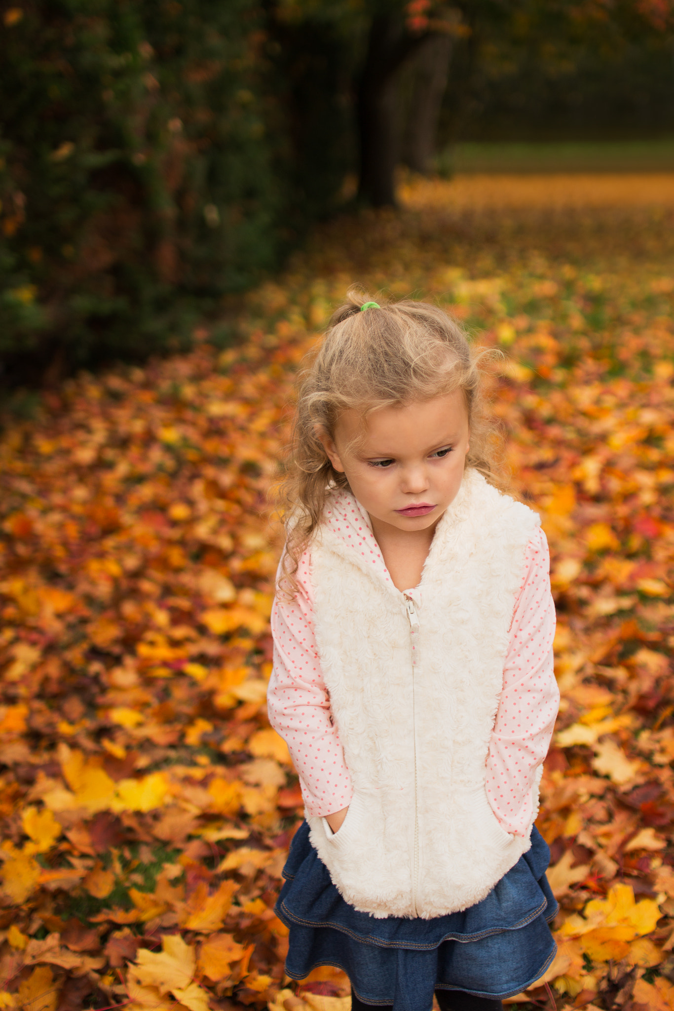 Sigma 30mm F1.4 EX DC HSM sample photo. Autumn walks photography