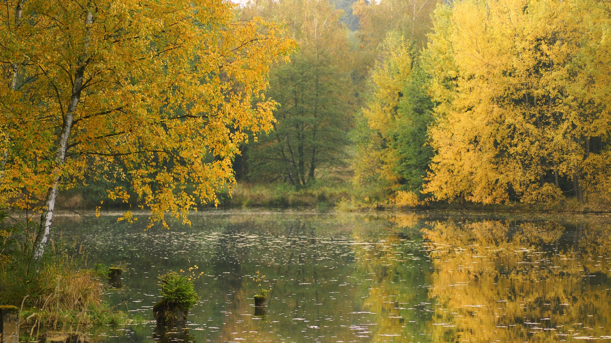 Sony Alpha DSLR-A700 + Tamron SP AF 90mm F2.8 Di Macro sample photo. Czech autumn photography