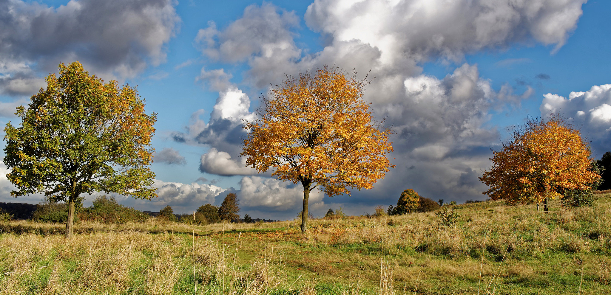 Nikon D750 + Tamron SP 35mm F1.8 Di VC USD sample photo. Three tree hill photography