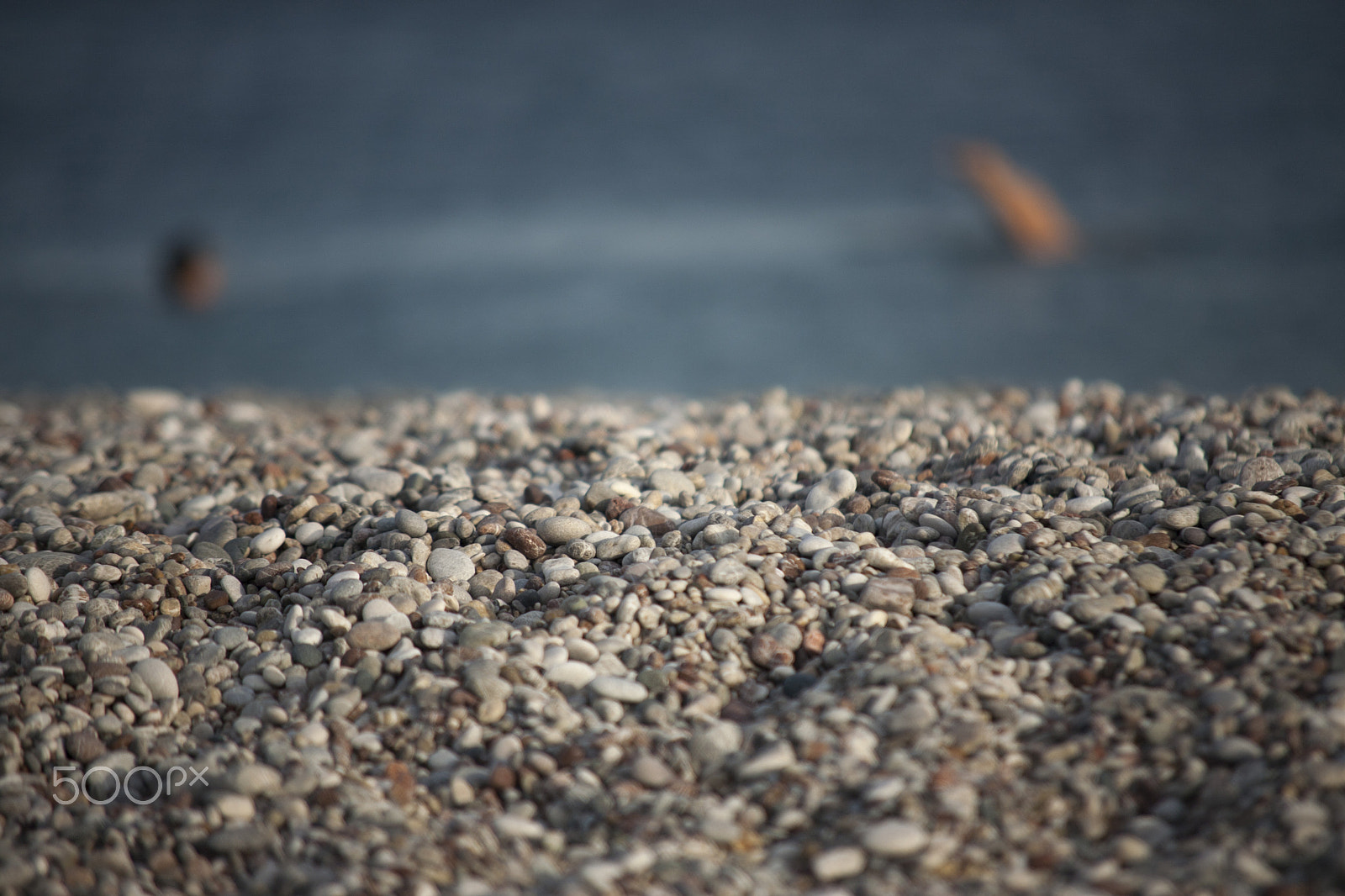 Sigma 70-200mm F2.8 EX DG OS HSM sample photo. Mg photography