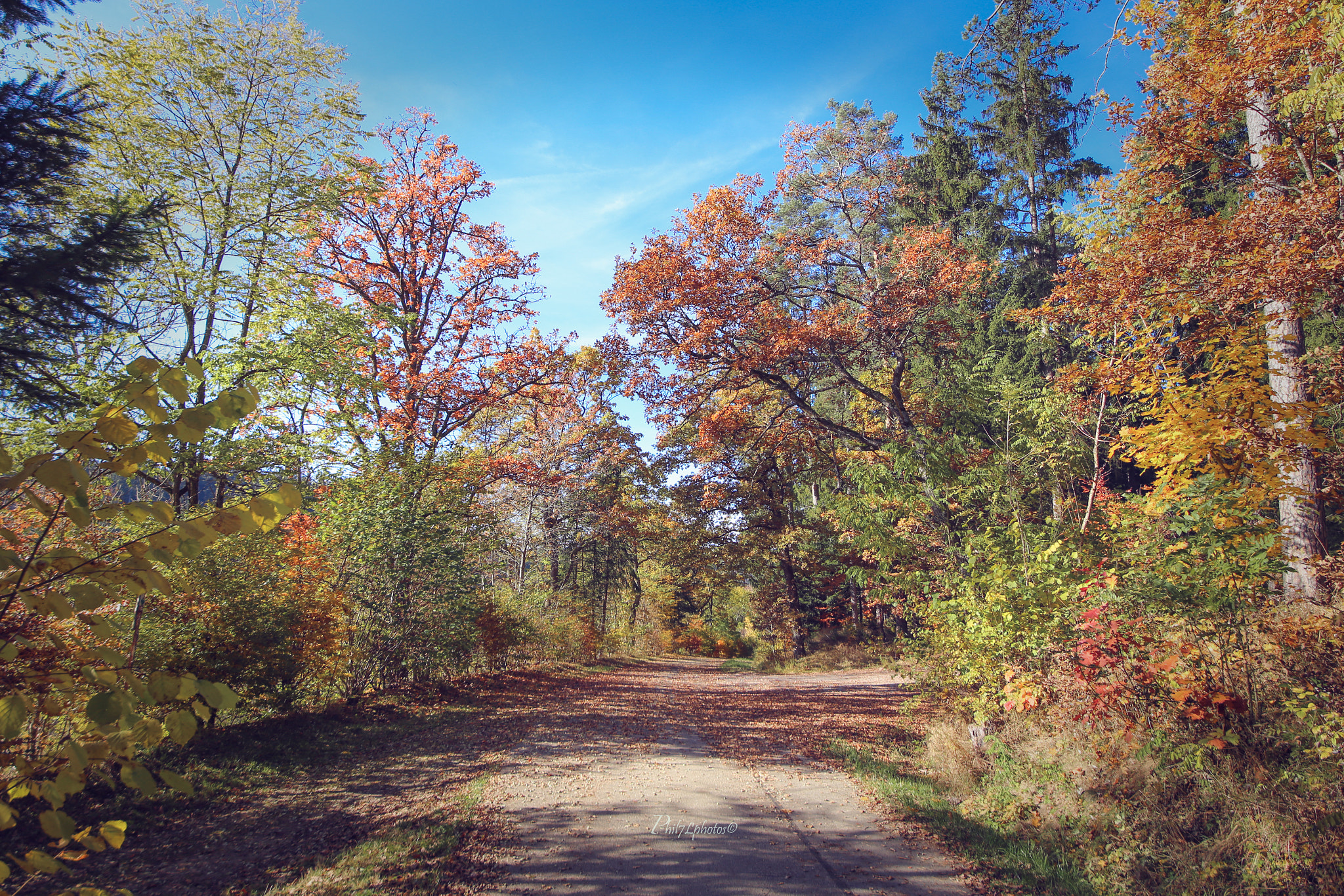 Canon EOS 6D + Sigma 12-24mm F4.5-5.6 II DG HSM sample photo. Explosion of colors photography