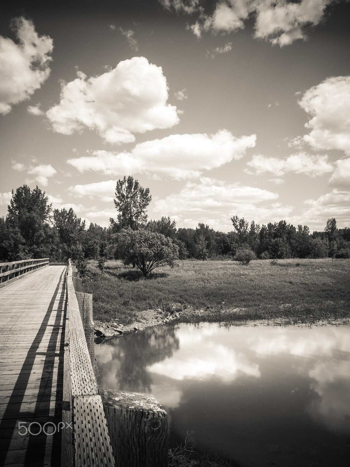 Olympus M.Zuiko Digital 14-42mm F3.5-5.6 II R sample photo. B&w landscape photography