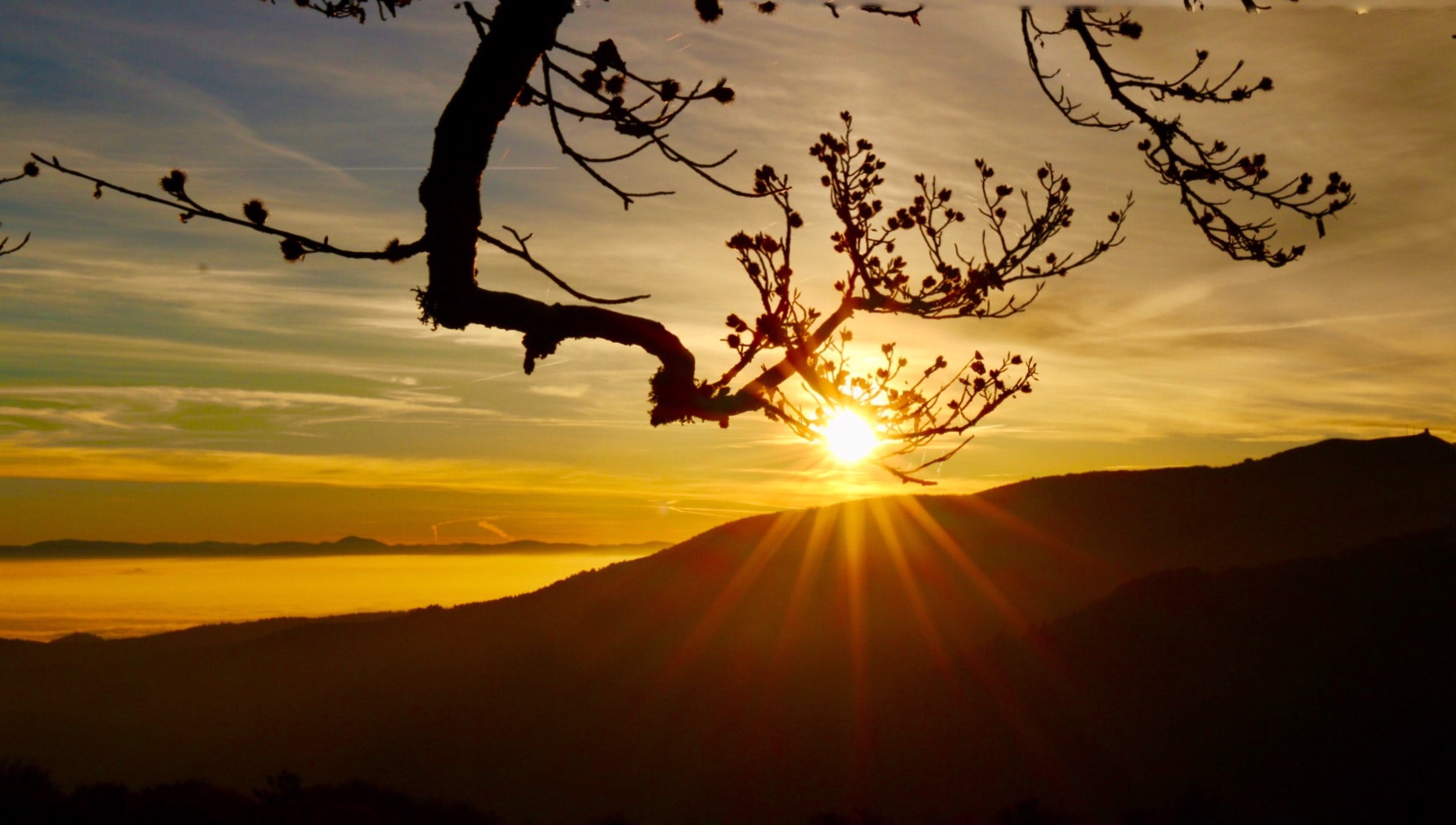 Canon EF 16-35mm F4L IS USM sample photo. When the sun rises up photography