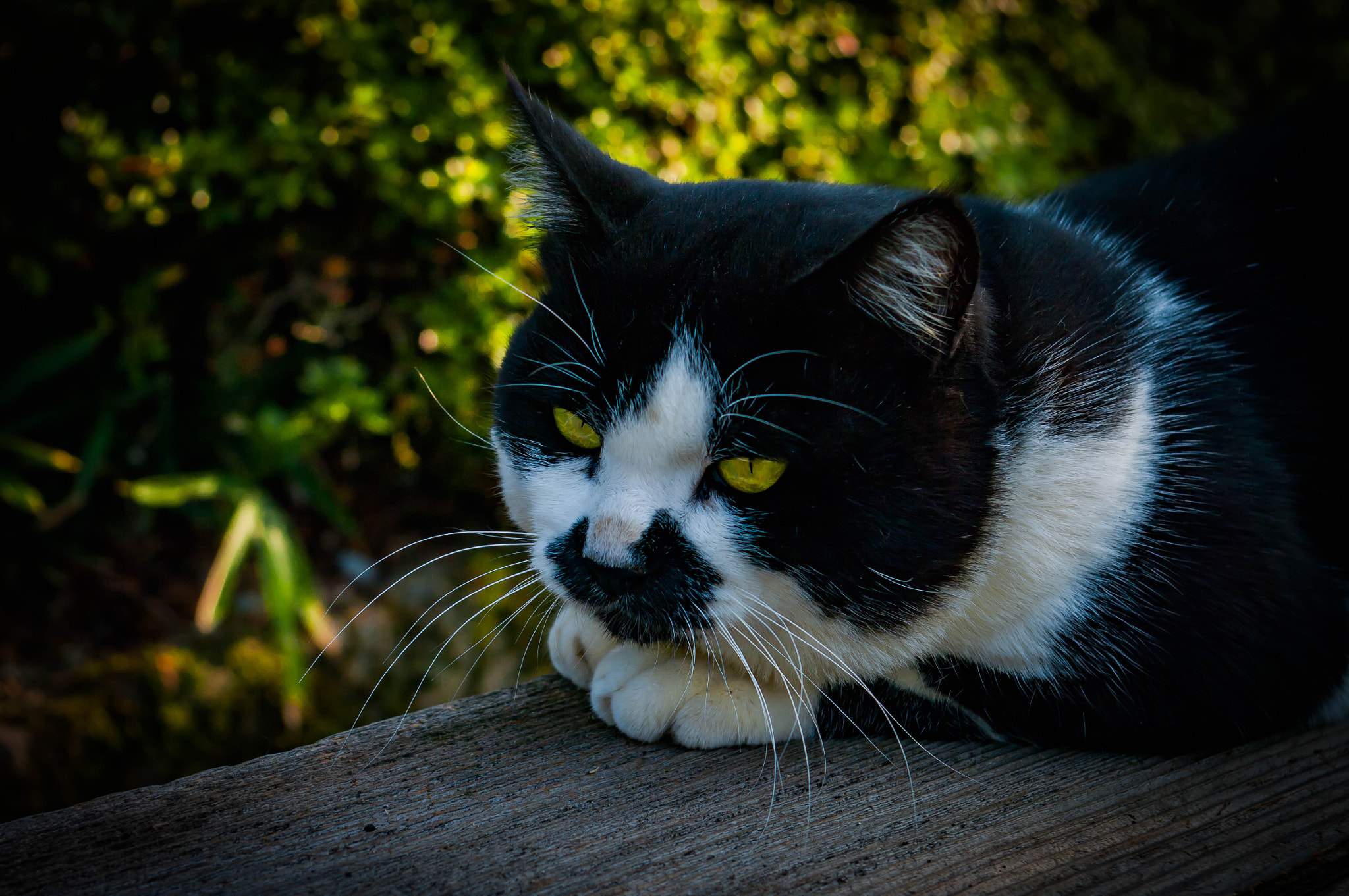 Pentax K20D sample photo