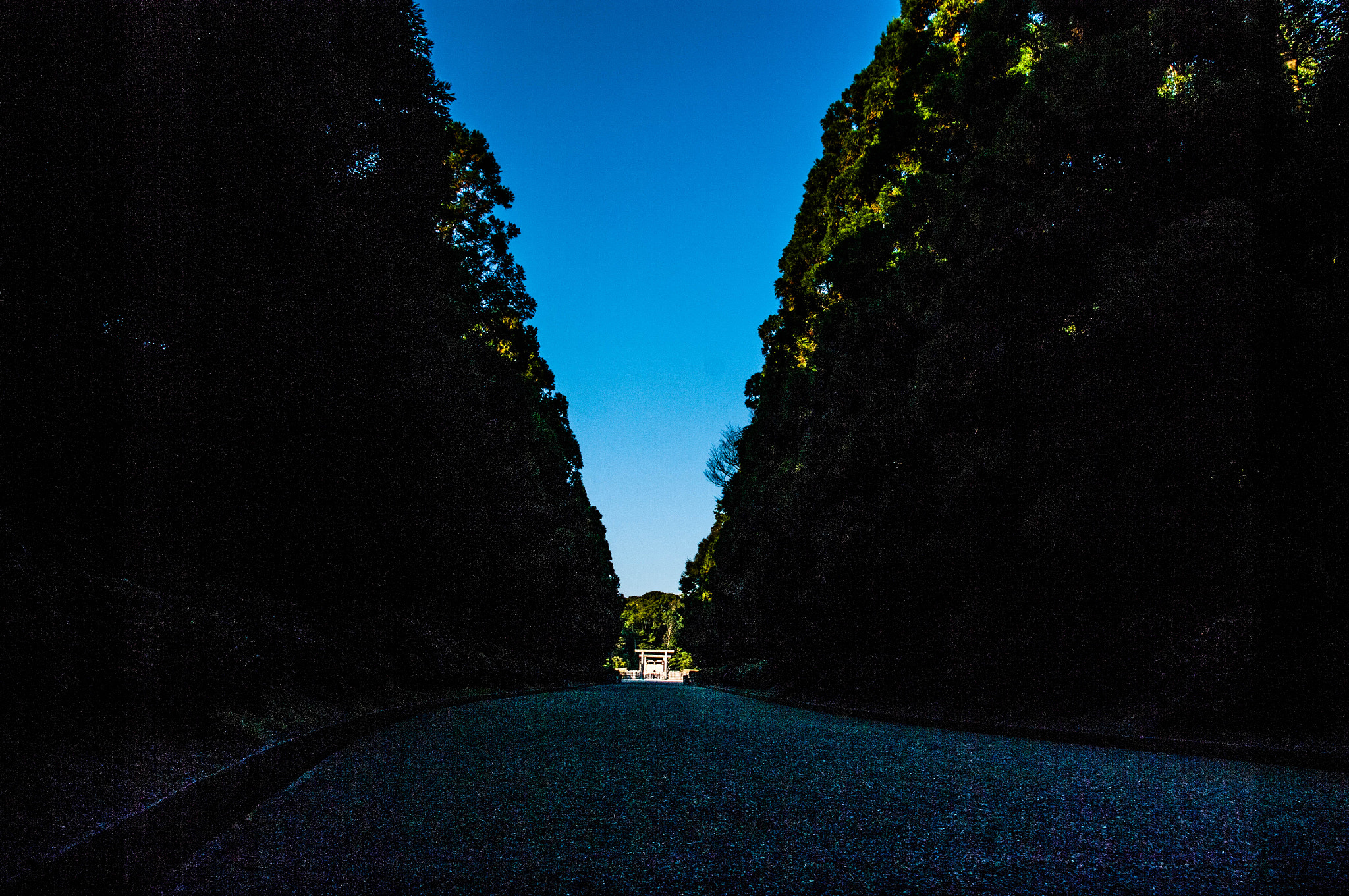 Pentax K20D sample photo. 神武天皇陵 photography