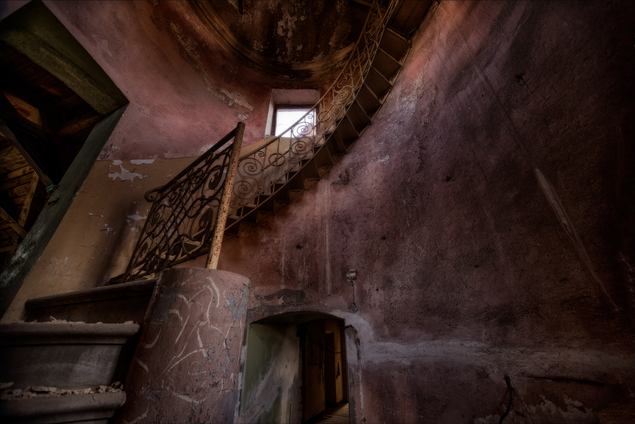 Sigma 10-20mm F3.5 EX DC HSM sample photo. Upwards photography