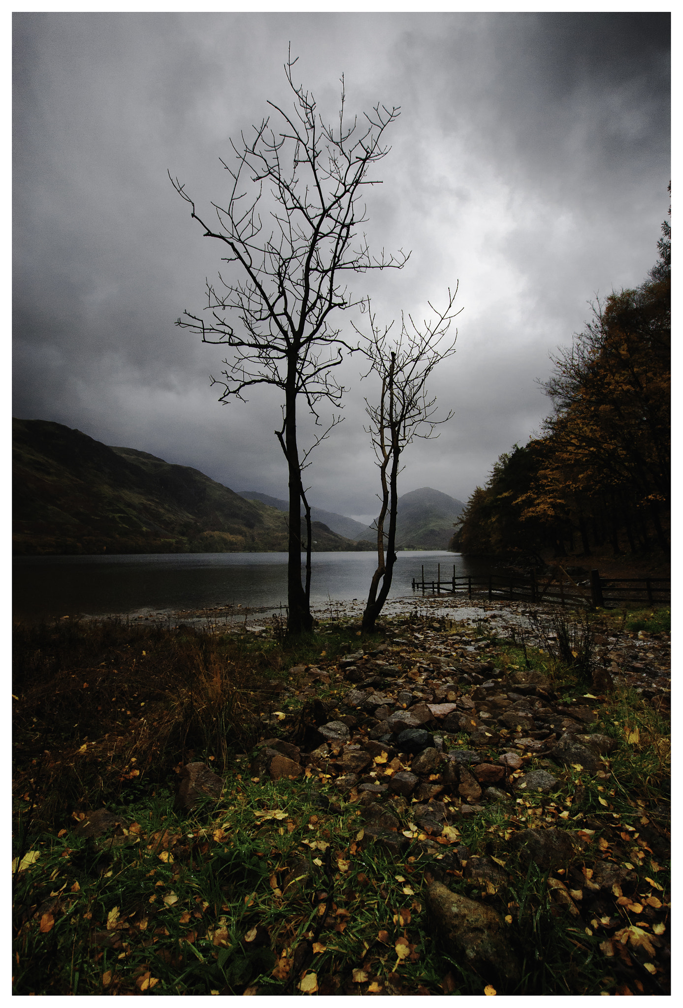 Nikon D200 + Sigma 10-20mm F3.5 EX DC HSM sample photo. Autumn photography