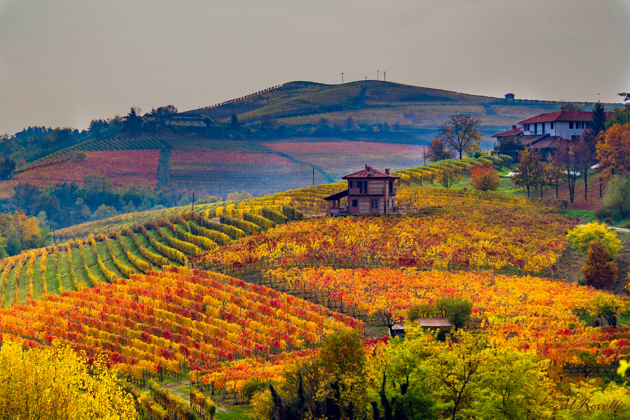 Samsung NX30 + Samsung NX 18-55mm F3.5-5.6 OIS sample photo. Langhe photography