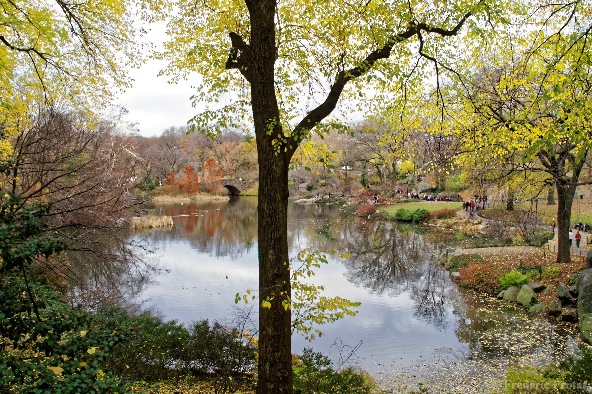 KONICA MINOLTA DYNAX 5D + Sigma 18-200mm F3.5-6.3 DC sample photo. Central park in autumn photography