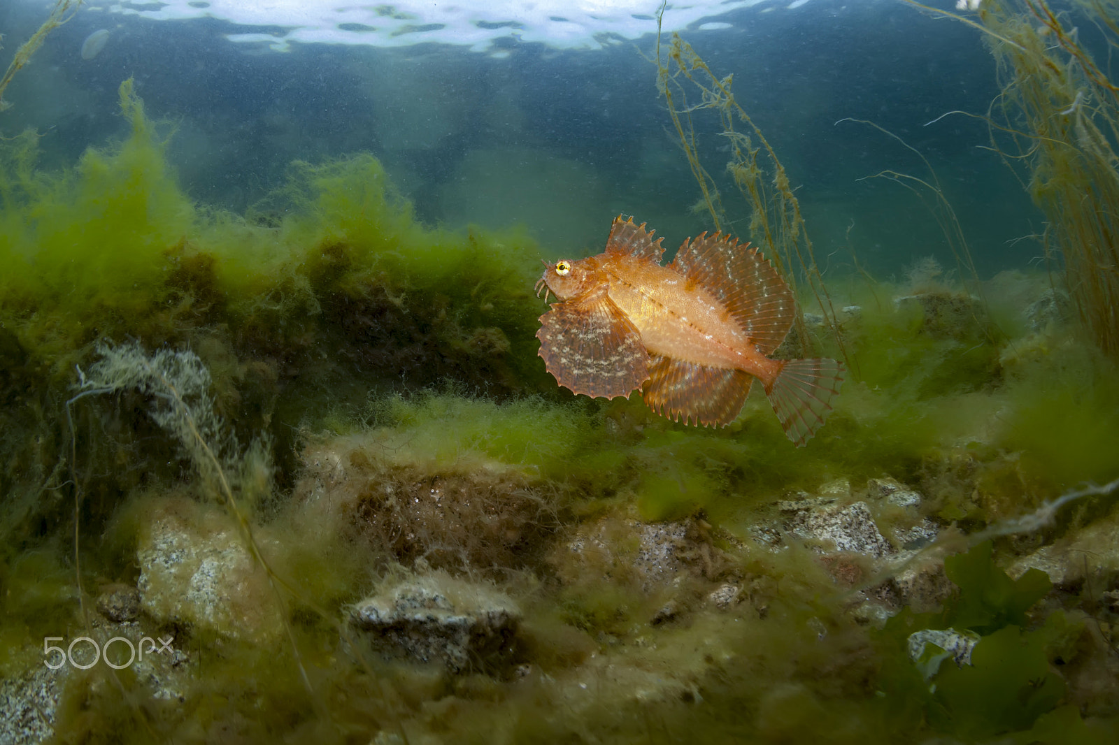 Canon EF 15mm F2.8 Fisheye sample photo. Sea of okhotsk photography