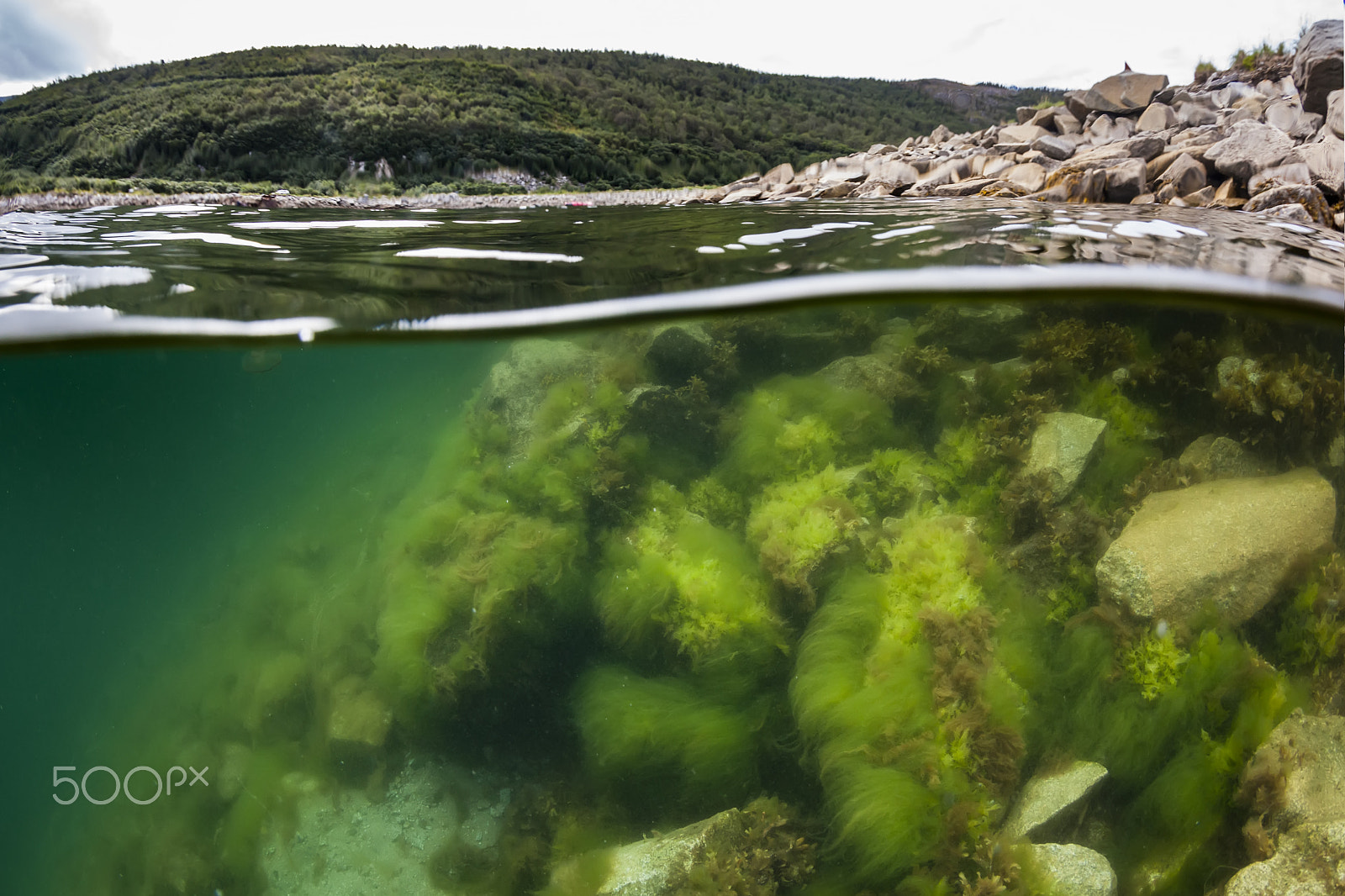 Canon EOS 5D Mark II + Canon EF 15mm F2.8 Fisheye sample photo. Sea of okhotsk photography