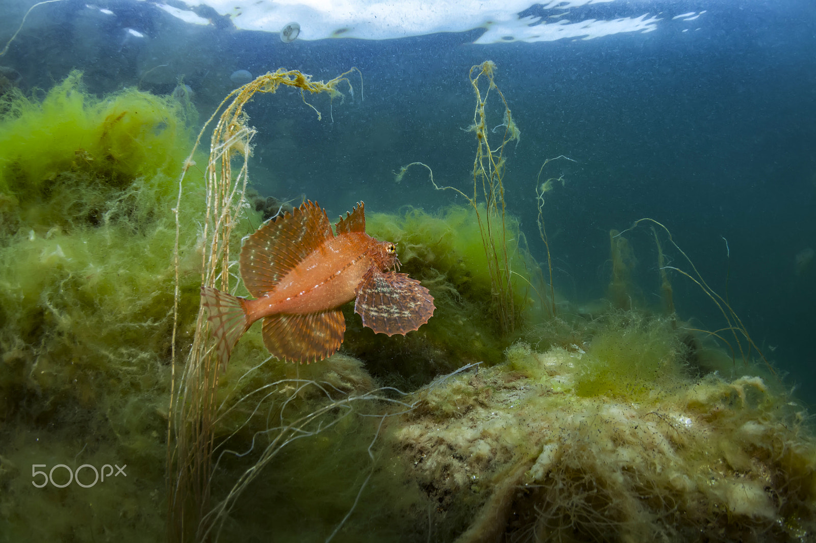 Canon EOS 5D Mark II + Canon EF 15mm F2.8 Fisheye sample photo. Sea of okhotsk photography