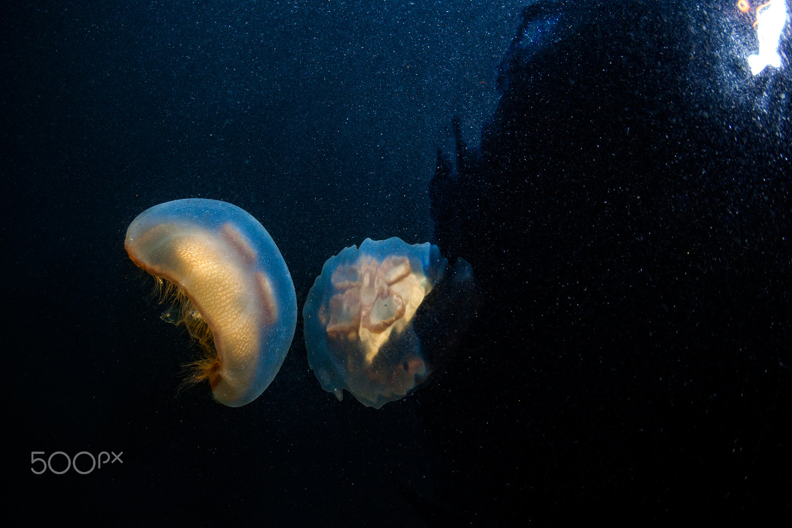 Canon EF 15mm F2.8 Fisheye sample photo. Sea of okhotsk photography