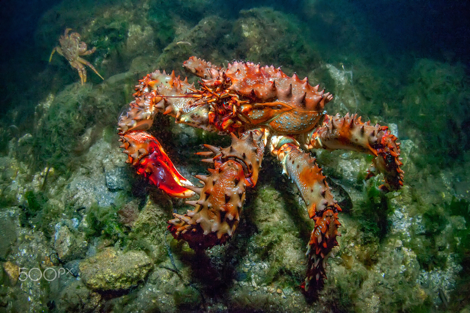 Canon EOS 5D Mark II + Canon EF 15mm F2.8 Fisheye sample photo. Sea of okhotsk photography