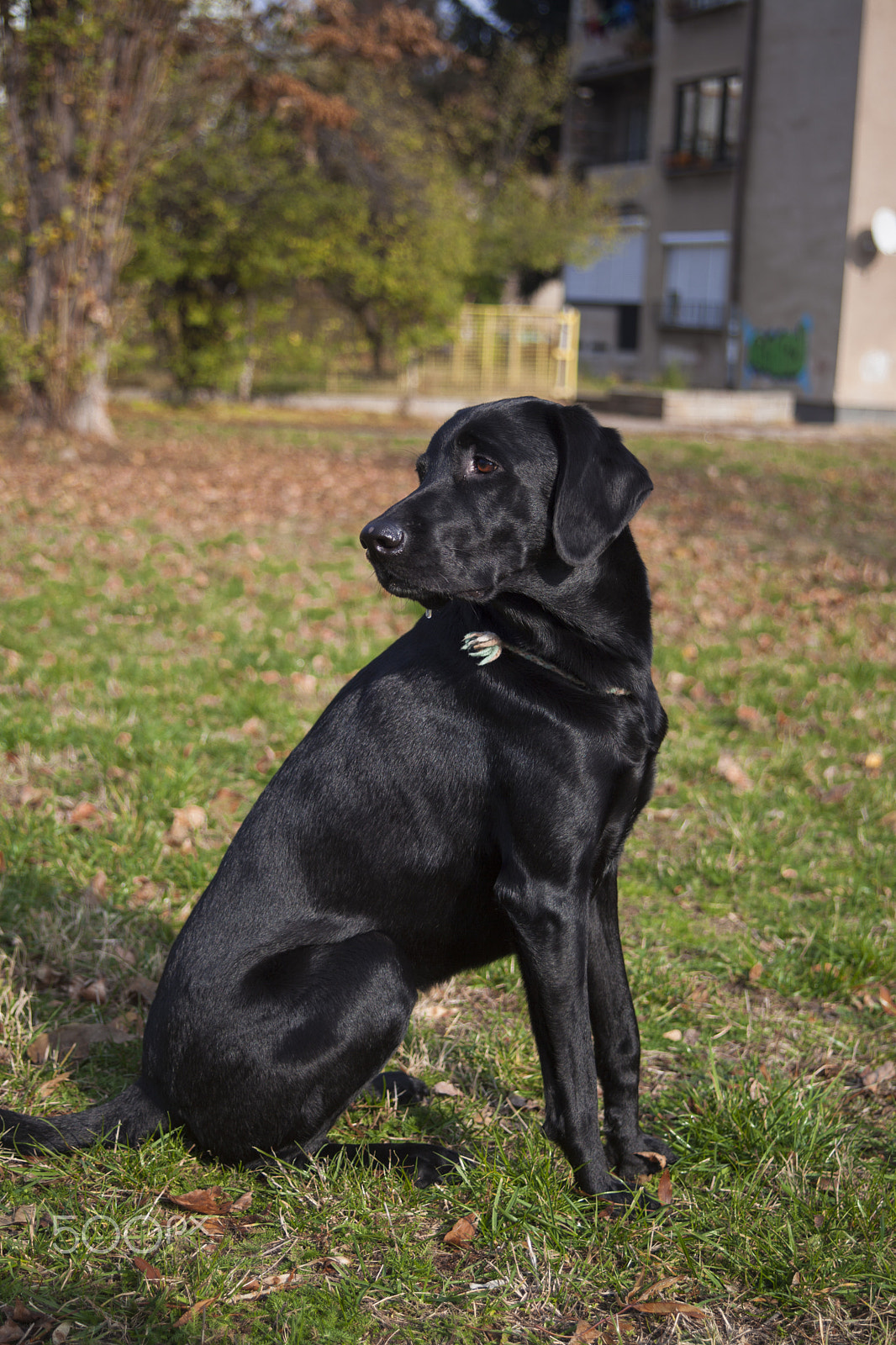 Canon EF 38-76mm f/4.5-5.6 sample photo. Sitting photography