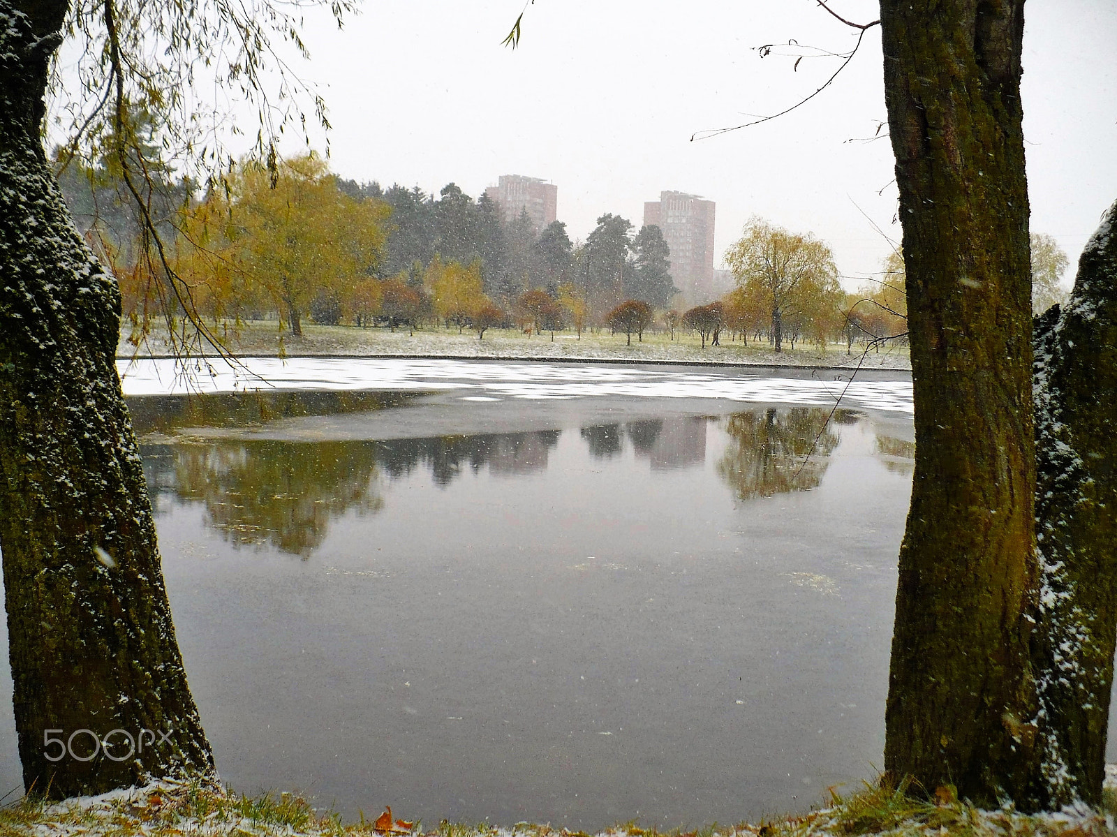 Panasonic DMC-LZ7 sample photo. First snow. Первый снег. photography