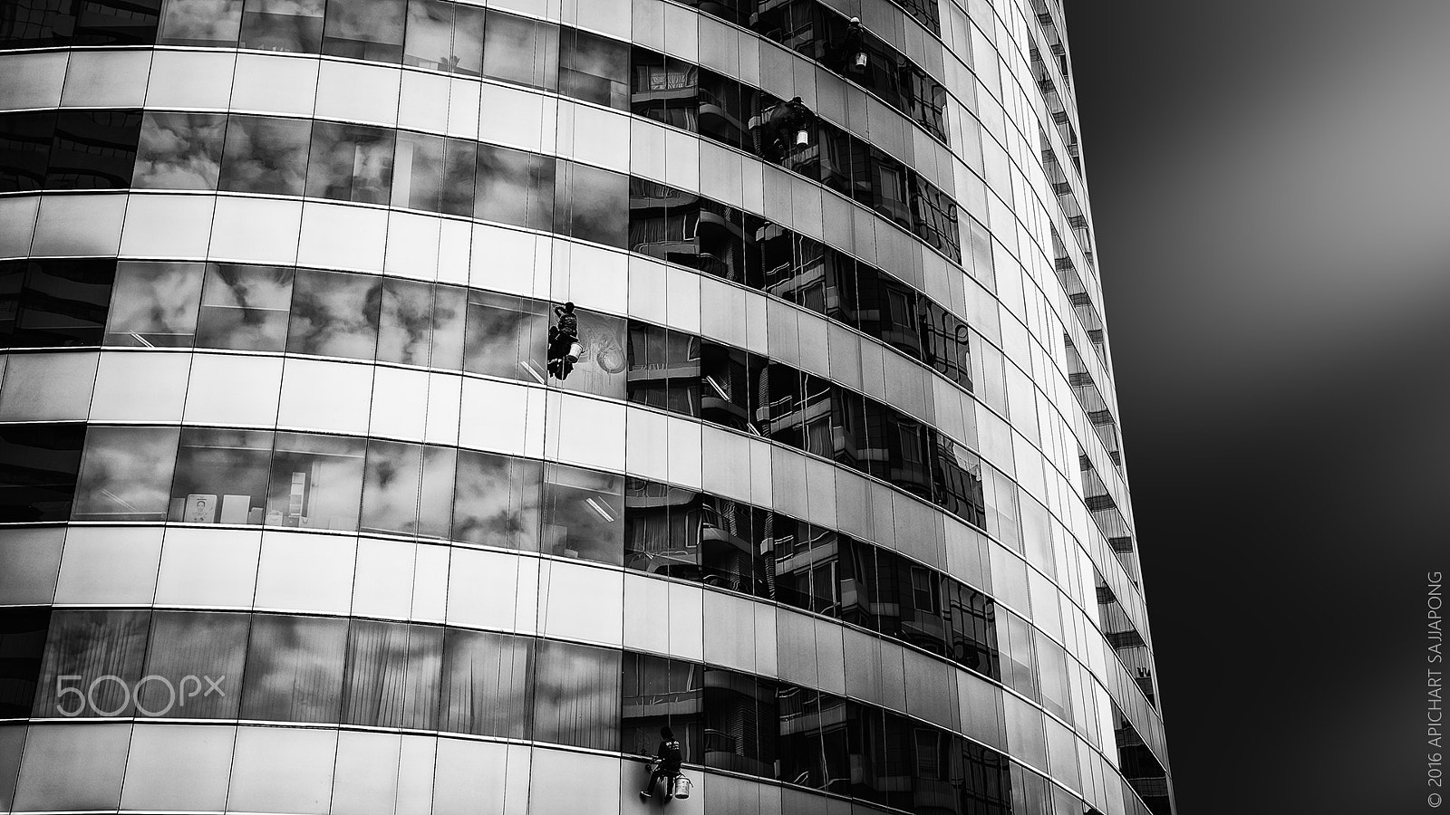 Canon EF 24-105mm F4L IS USM sample photo. Reaching for heaven photography