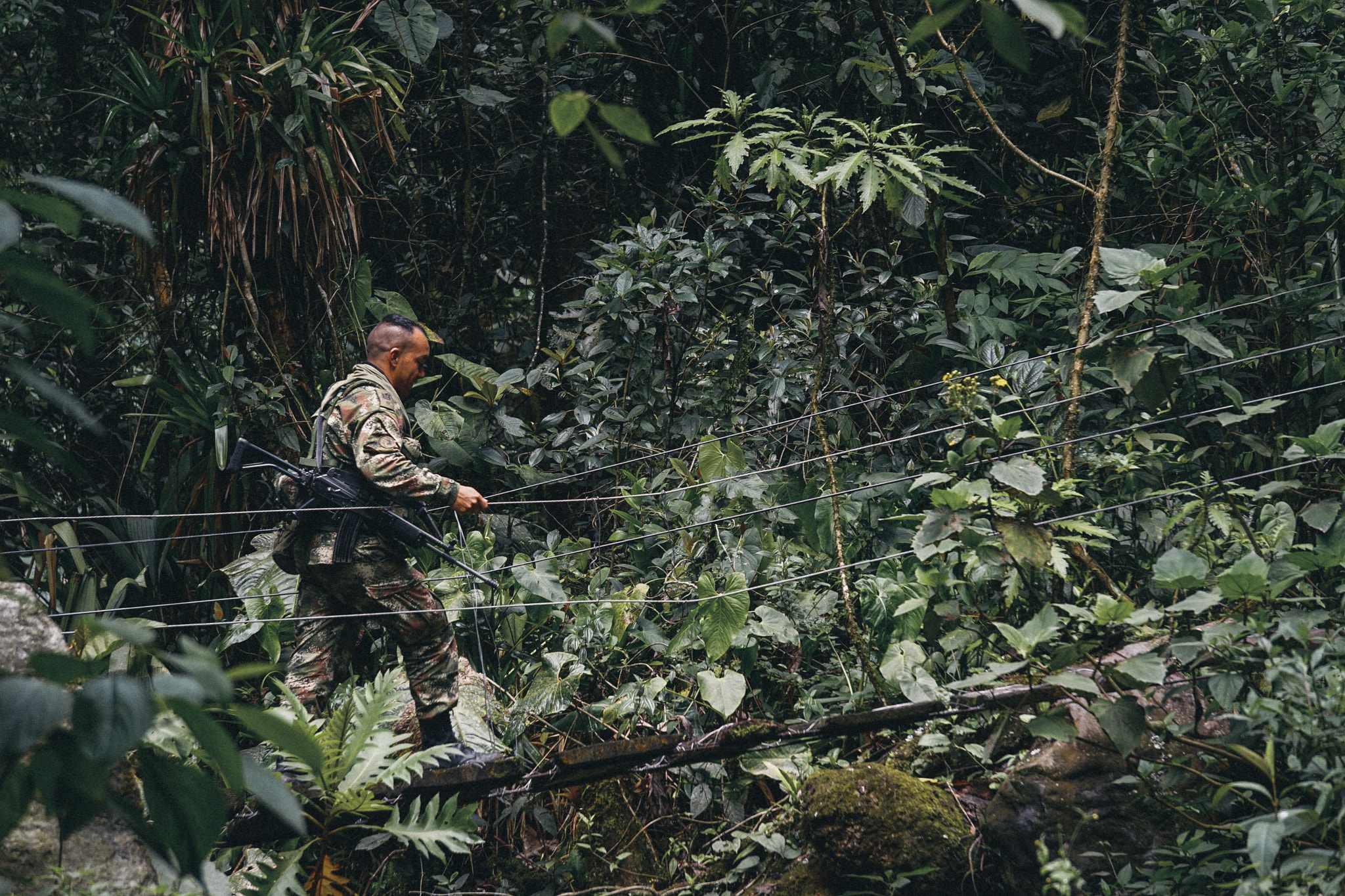 Sony FE 24-240mm F3.5-6.3 OSS sample photo. Por la selva de colombia. photography