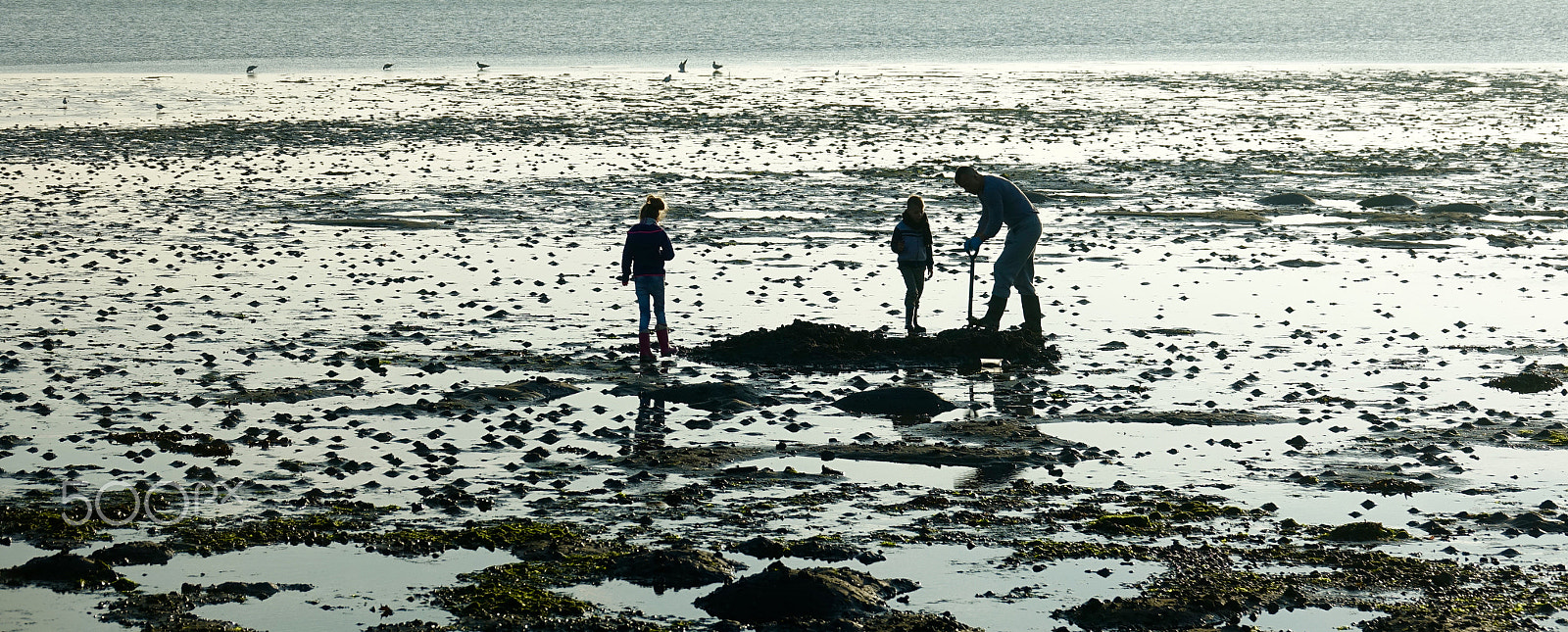 Sony 24-600mm F2.4-4.0 sample photo. The diggers........ photography