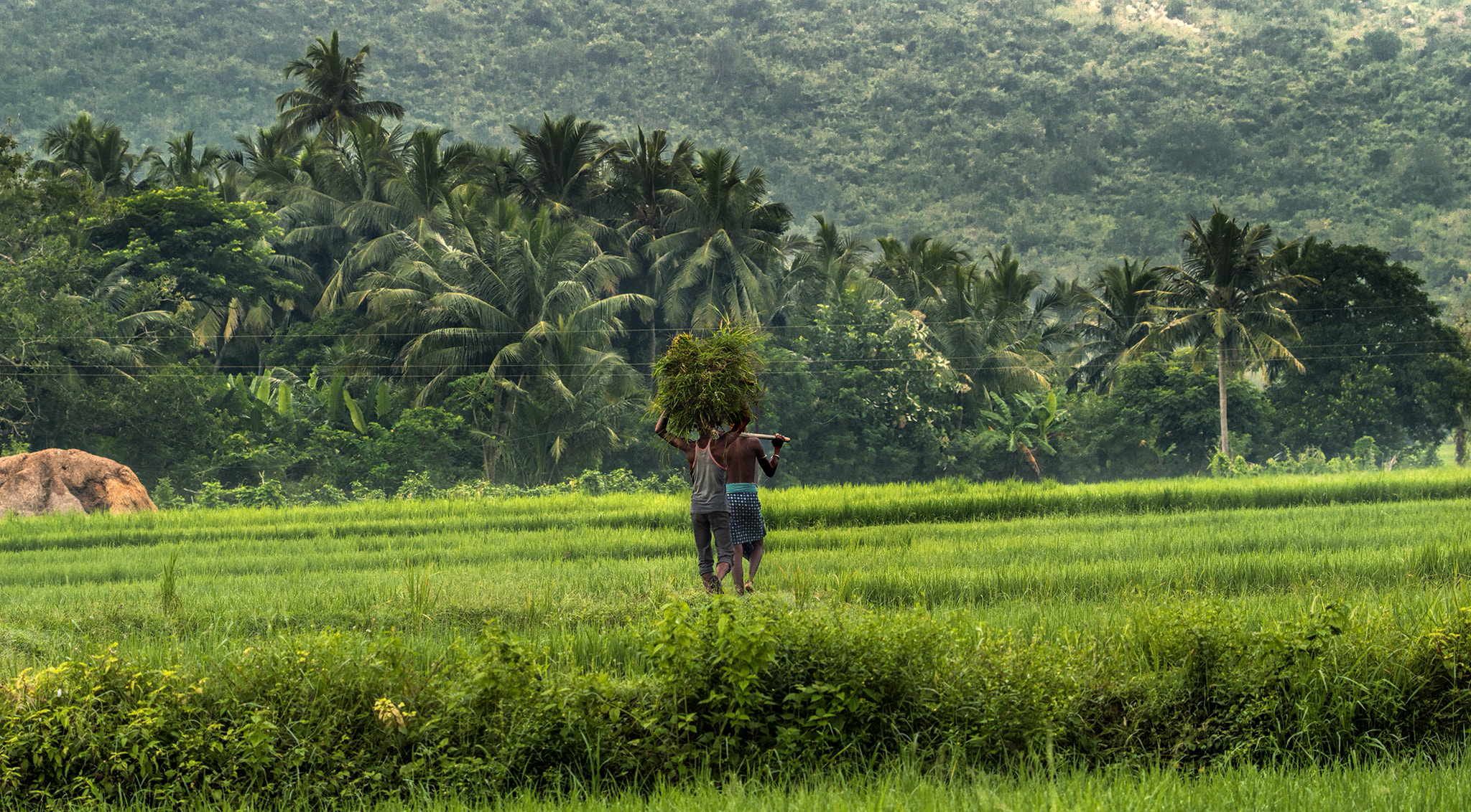 Nikon D3200 sample photo. Village life photography