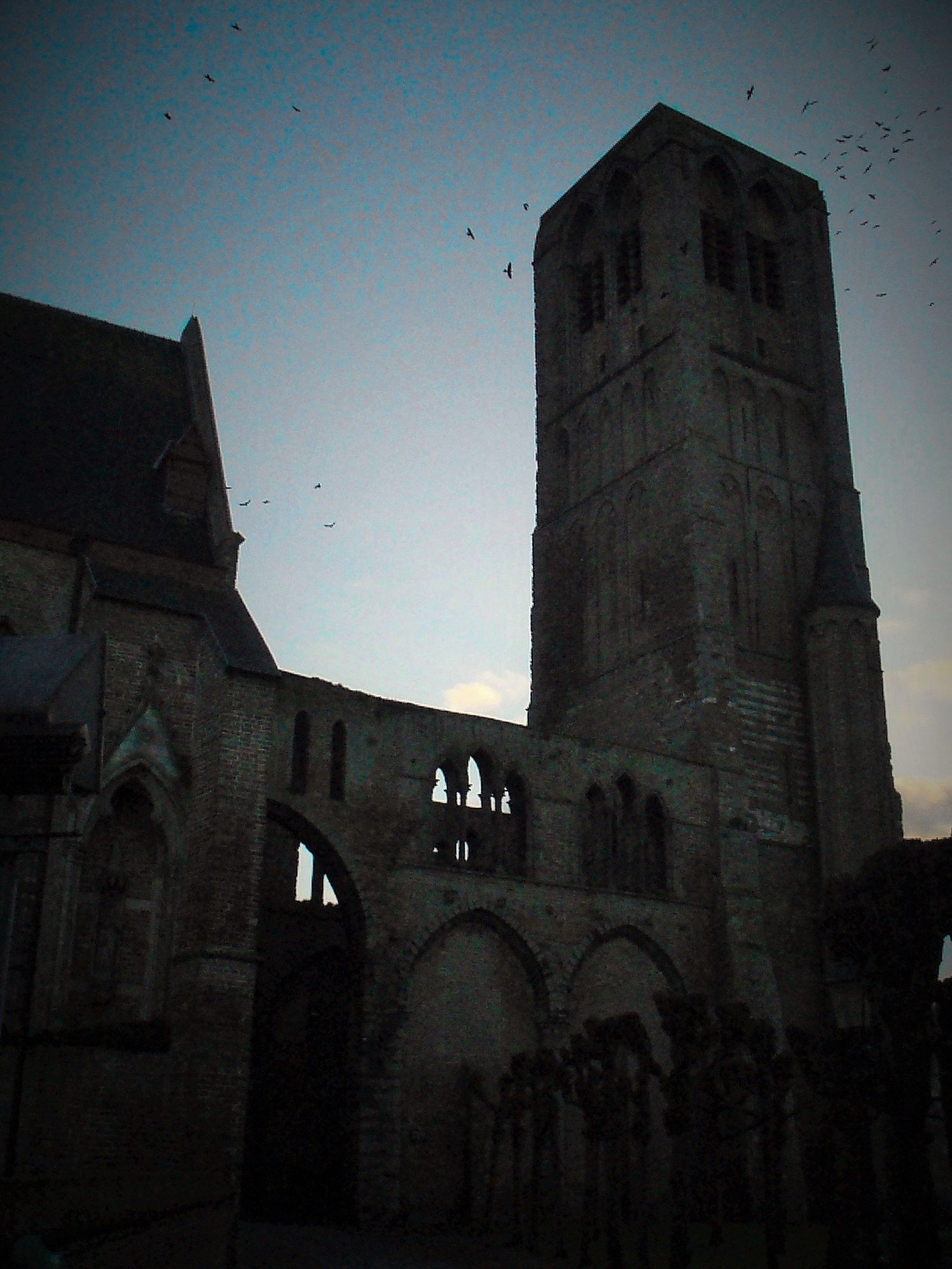 Olympus u700,S700 sample photo. Damme photography
