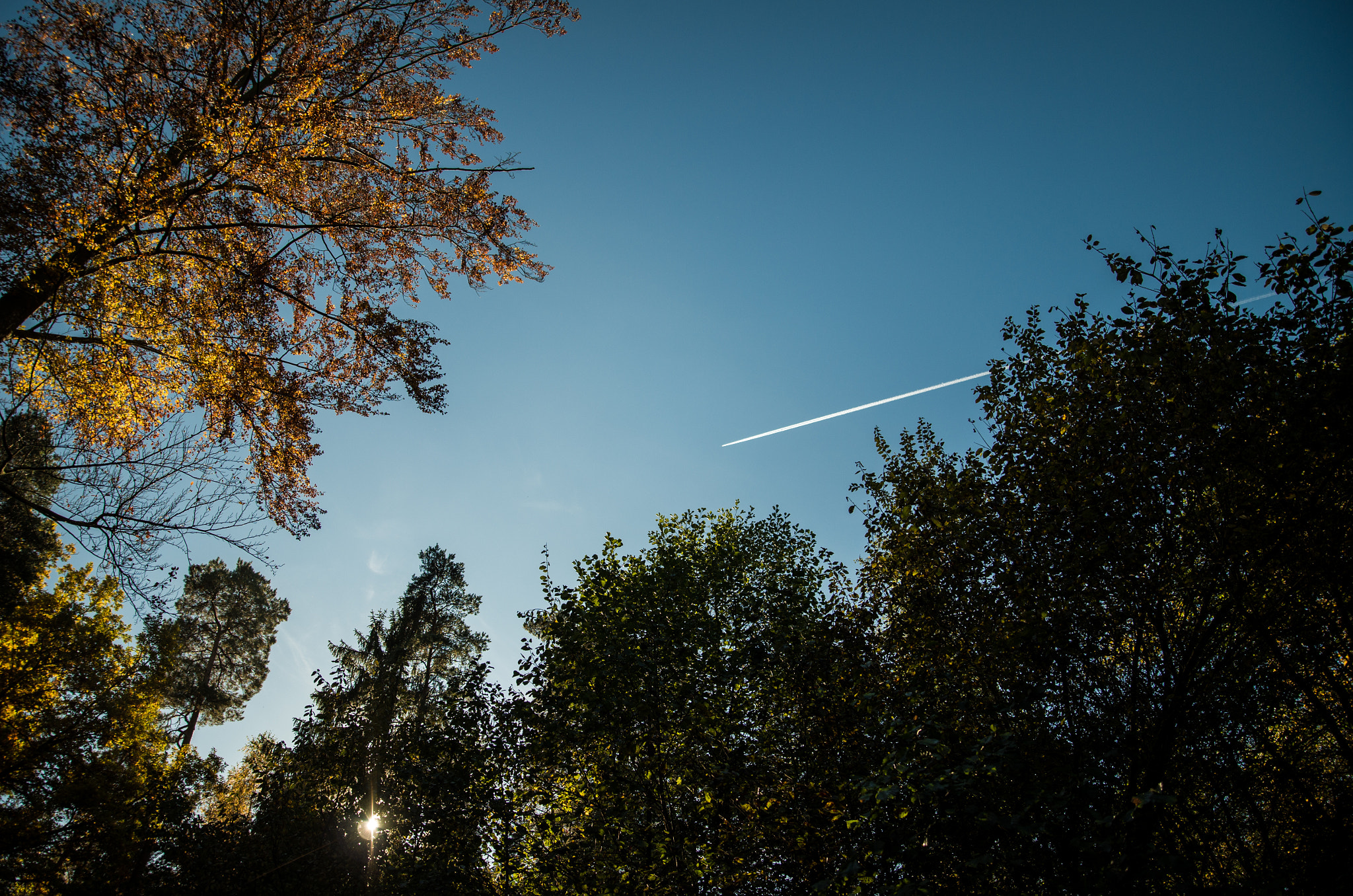 Pentax K-30 + A Series Lens sample photo. View into the sky 2 photography