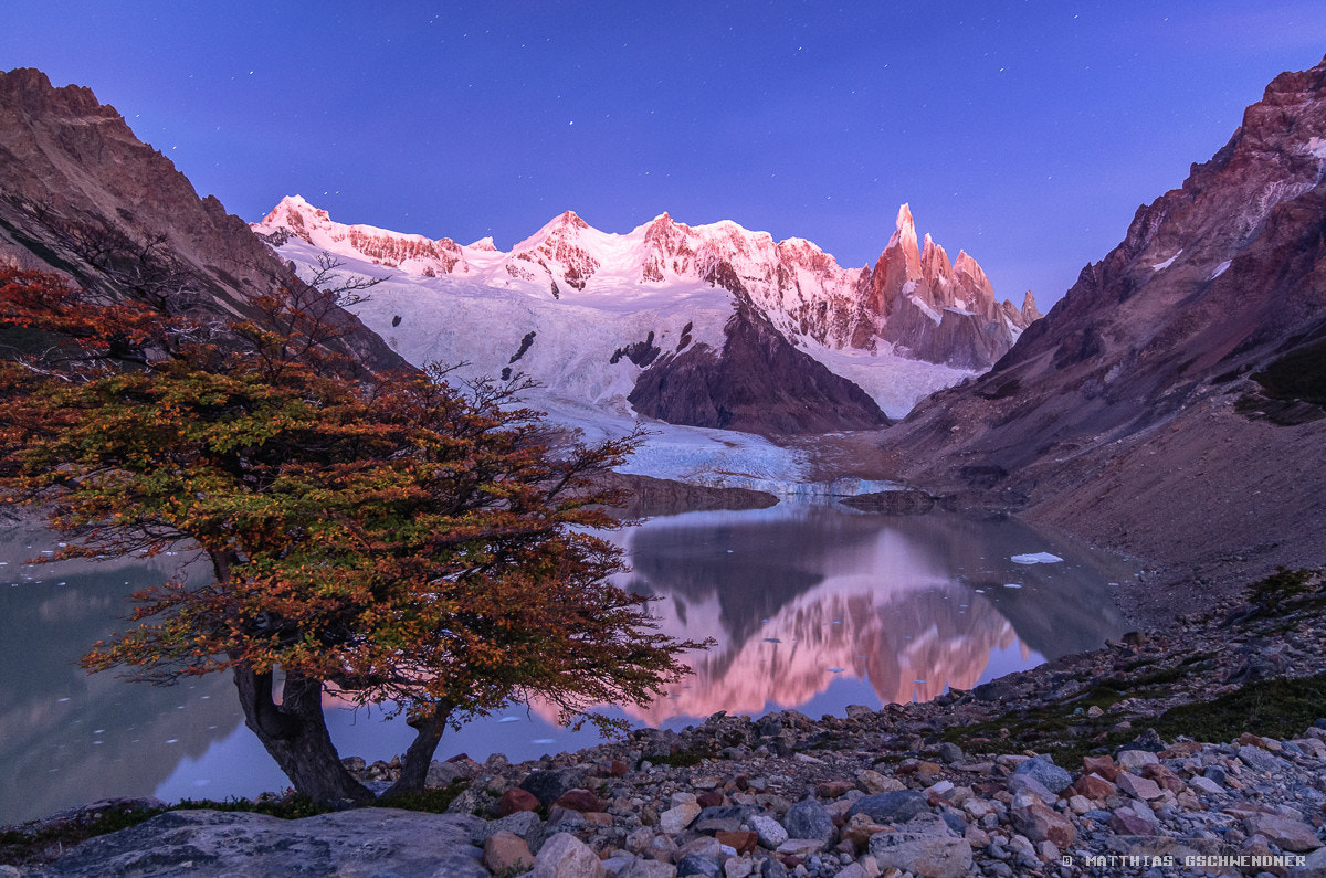 Pentax K-5 sample photo. Glacier tree photography