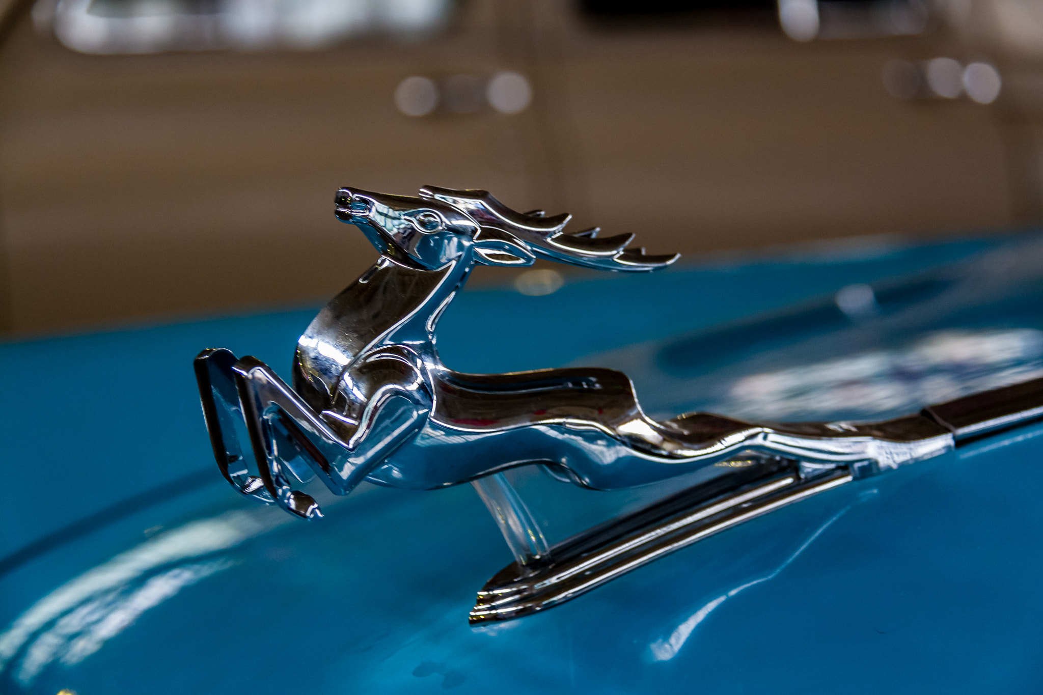 Canon EF-S 18-200mm F3.5-5.6 IS sample photo. Car decoration photography
